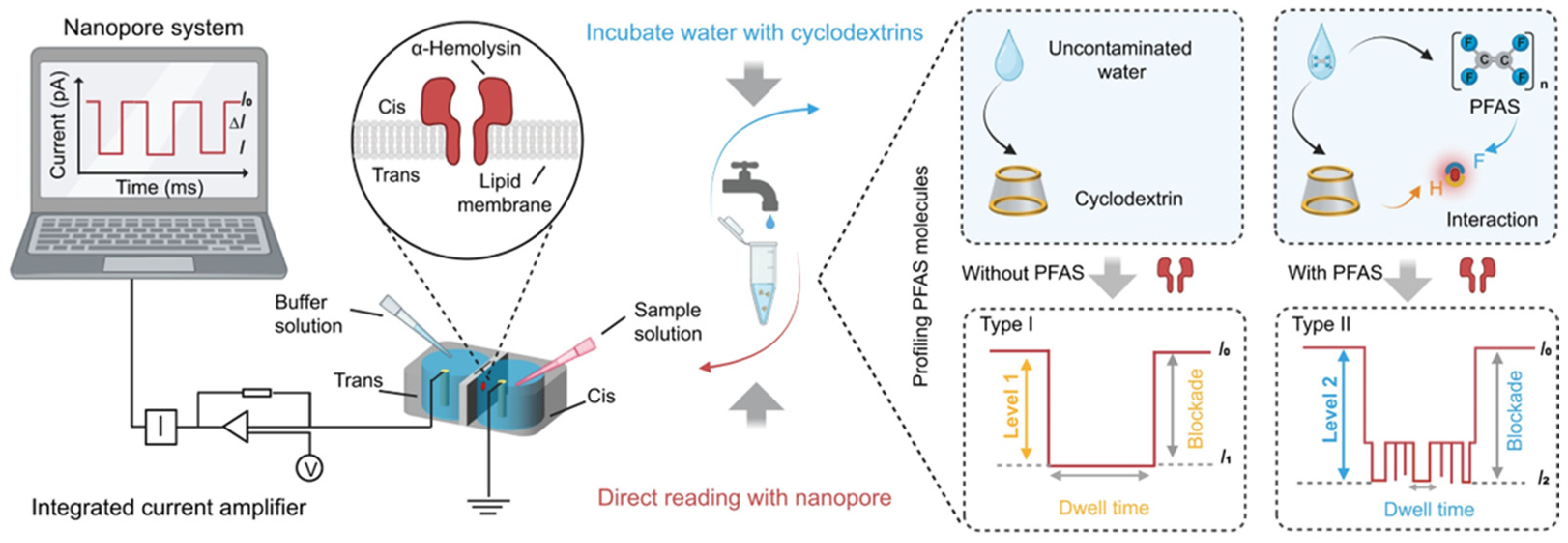 Biosensors 15 00041 g007