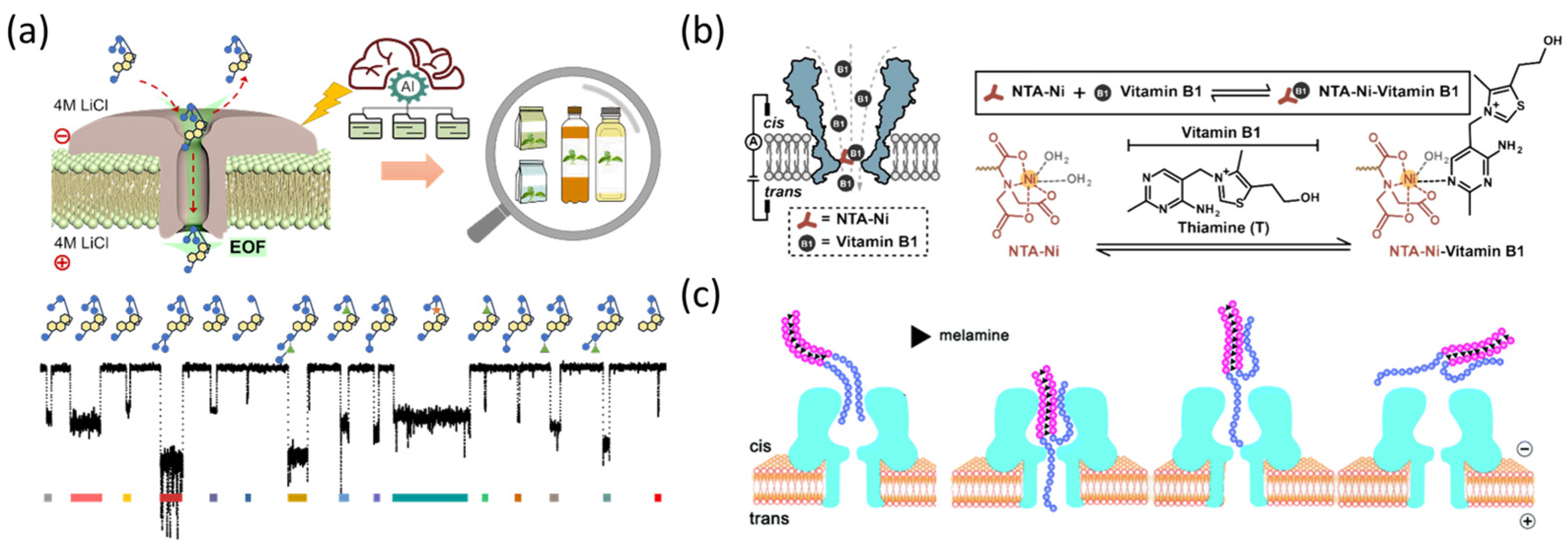Biosensors 15 00041 g008
