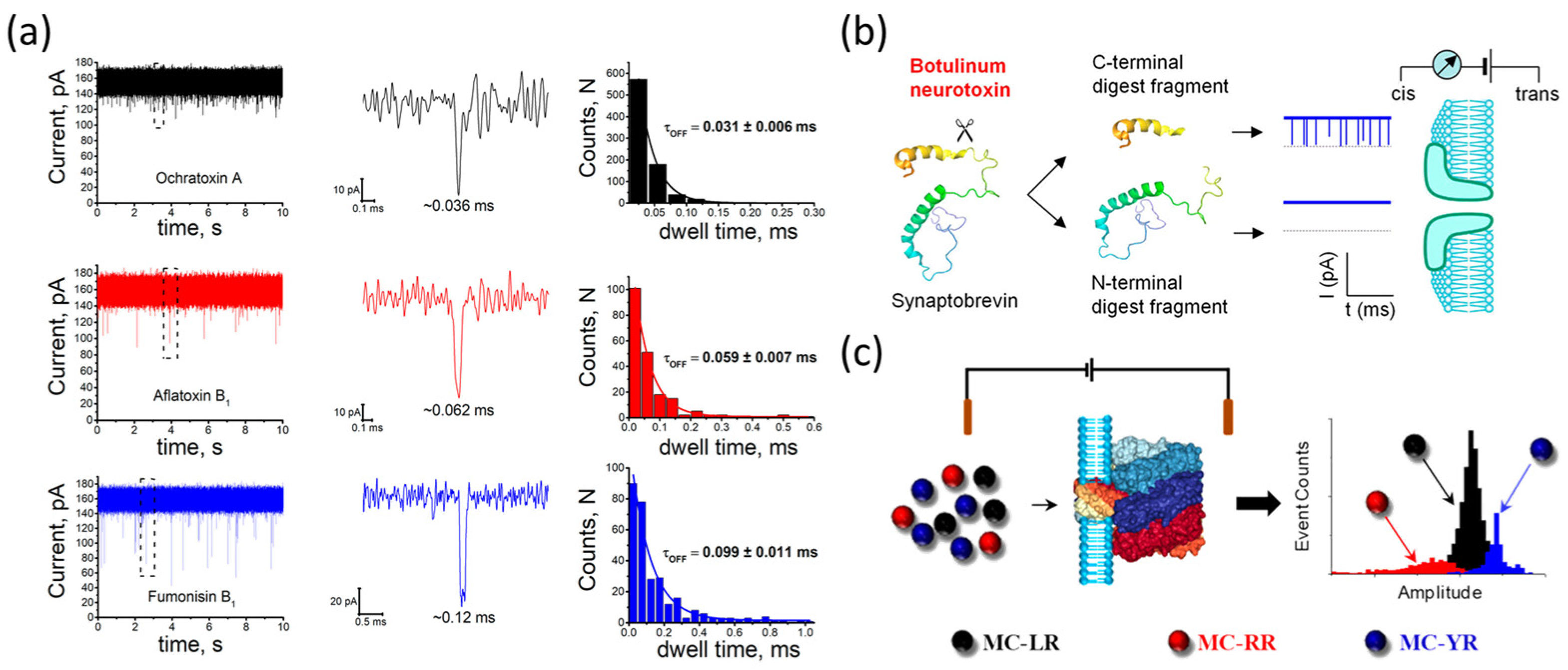 Biosensors 15 00041 g009