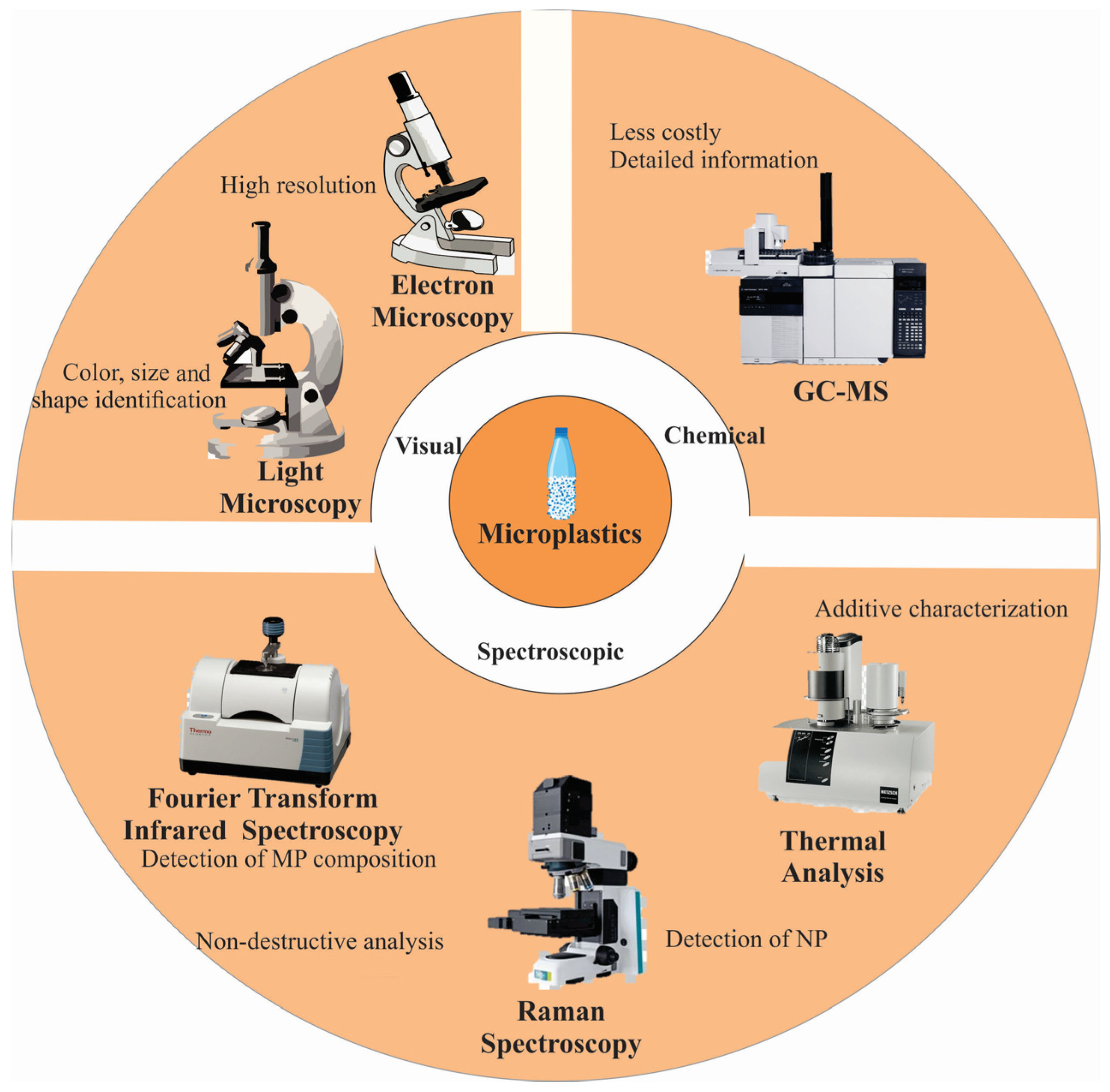 Biosensors 15 00044 g002