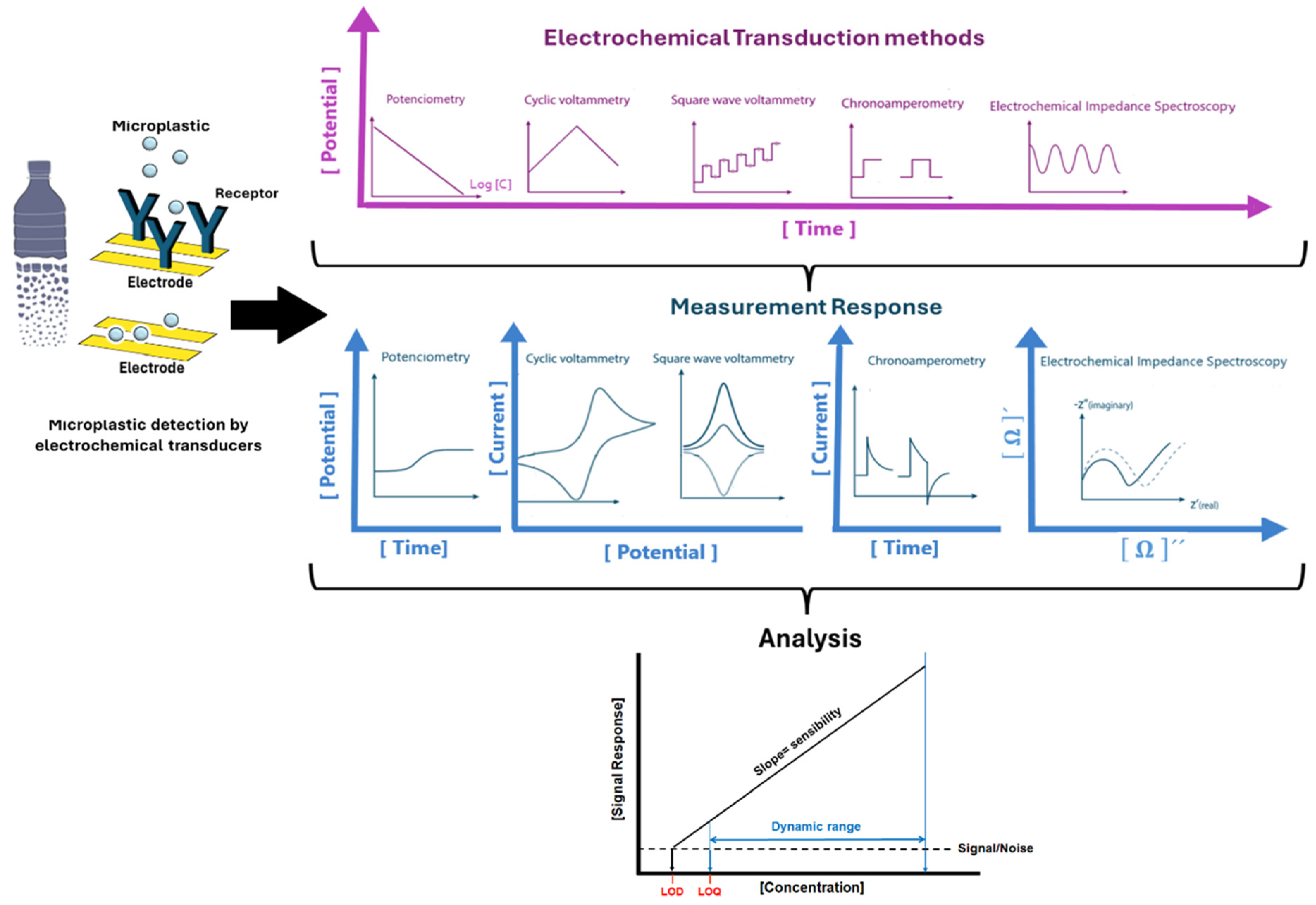 Biosensors 15 00044 g003