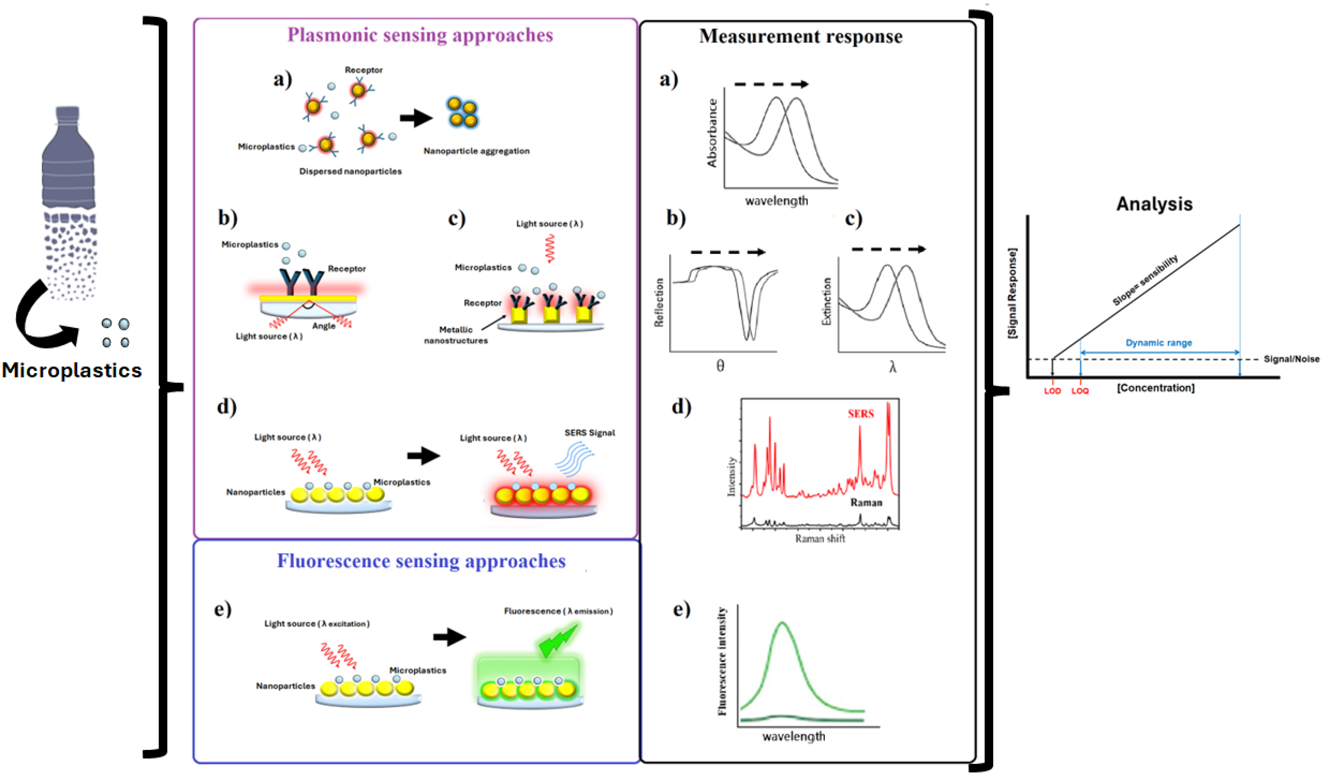 Biosensors 15 00044 g004
