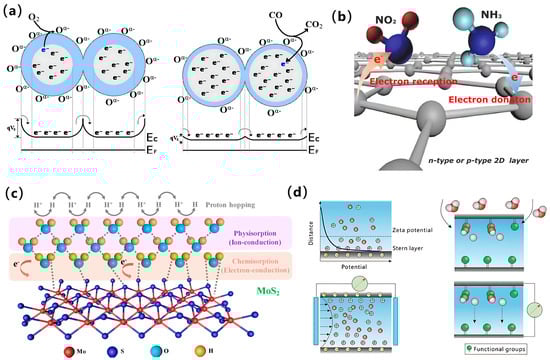Biosensors 15 00053 g003