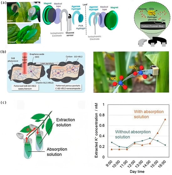 Biosensors 15 00053 g007