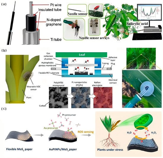Biosensors 15 00053 g008
