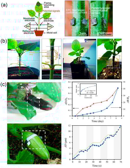 Biosensors 15 00053 g009