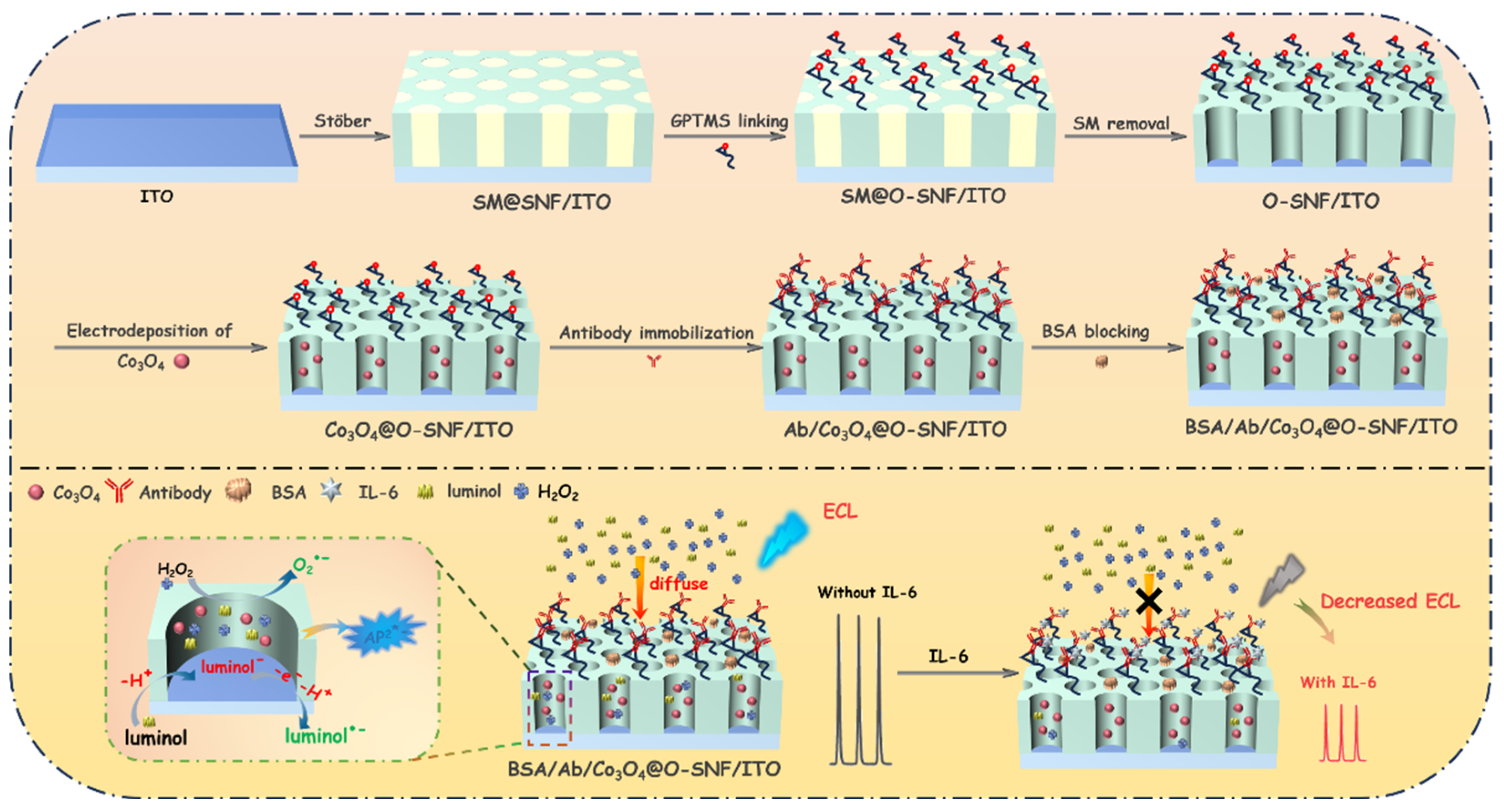Biosensors 15 00063 g001