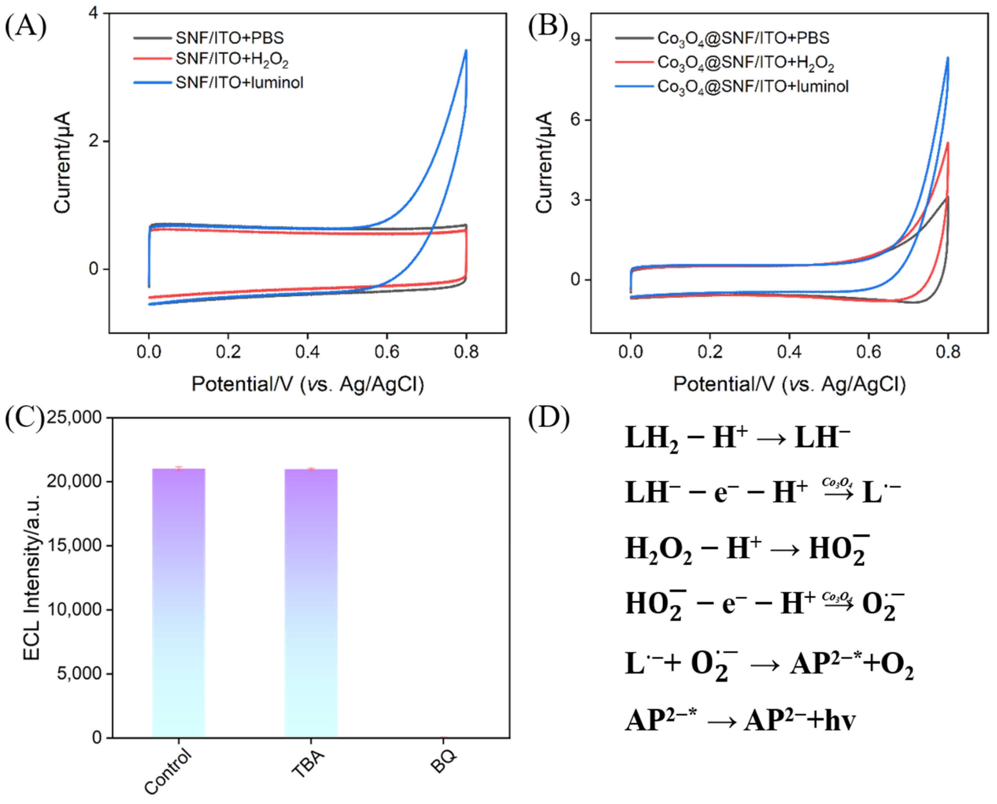 Biosensors 15 00063 g005