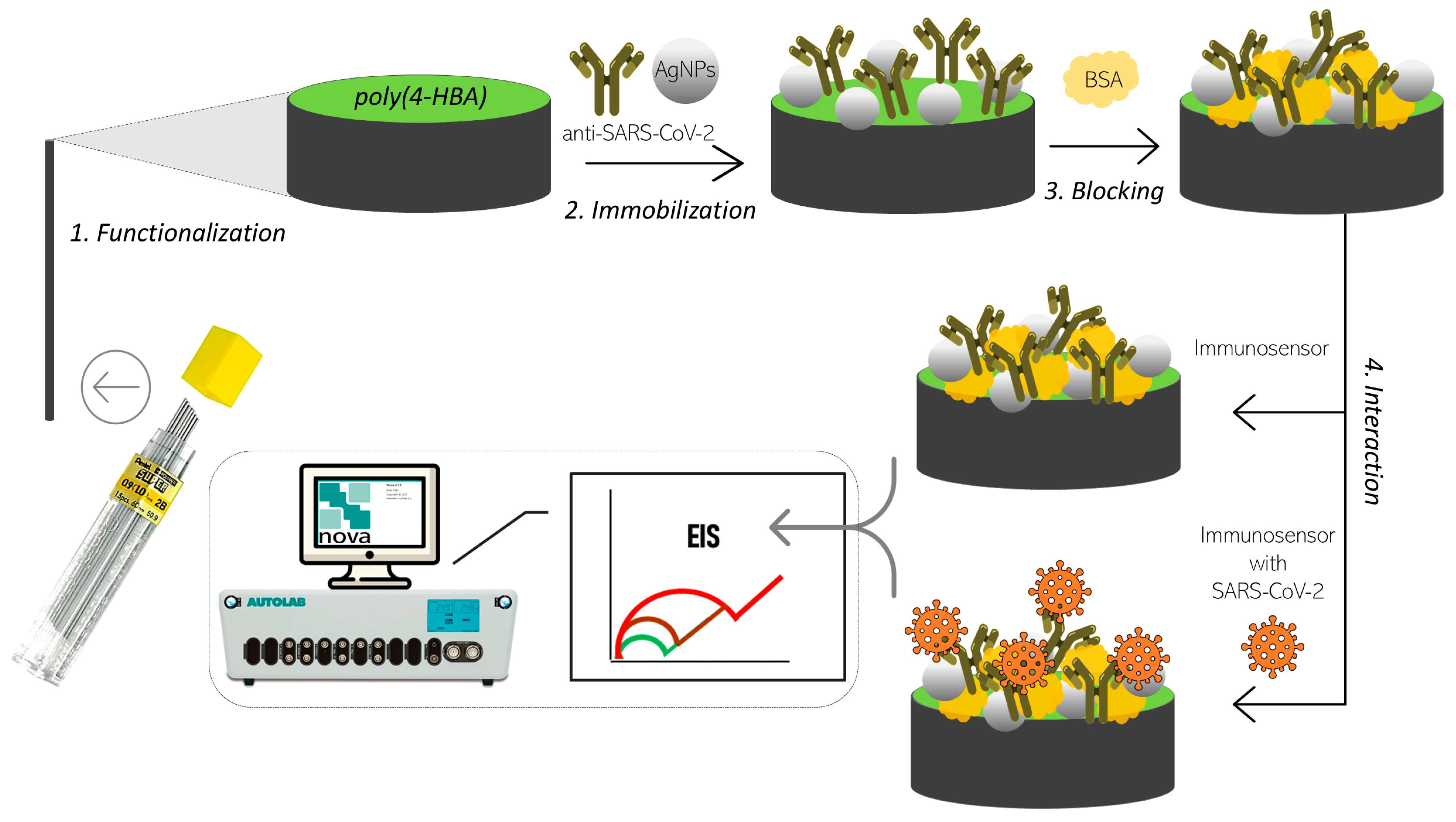 Development and Optimization of a Cost-Effective Electrochemical ...