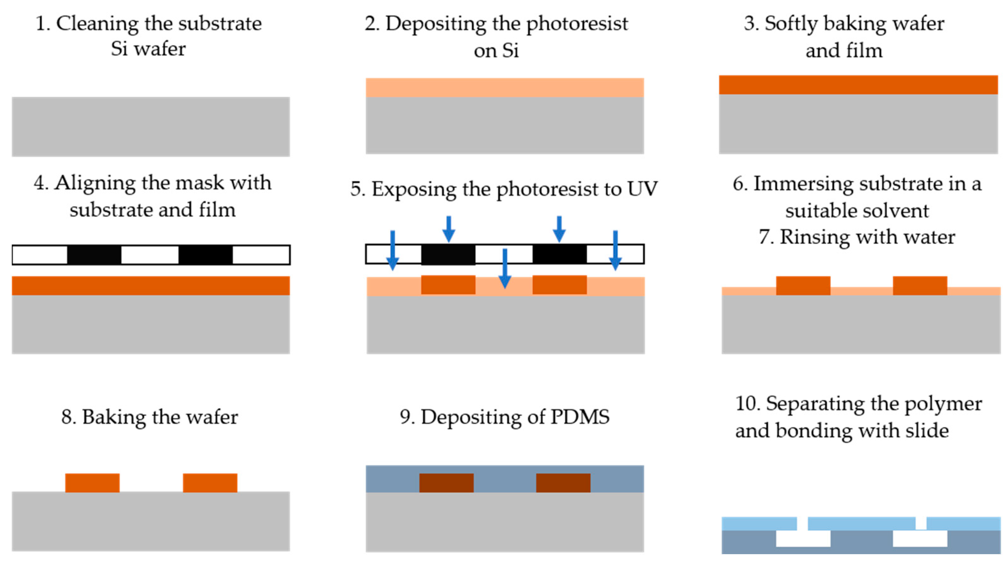 Biosensors 15 00076 g001