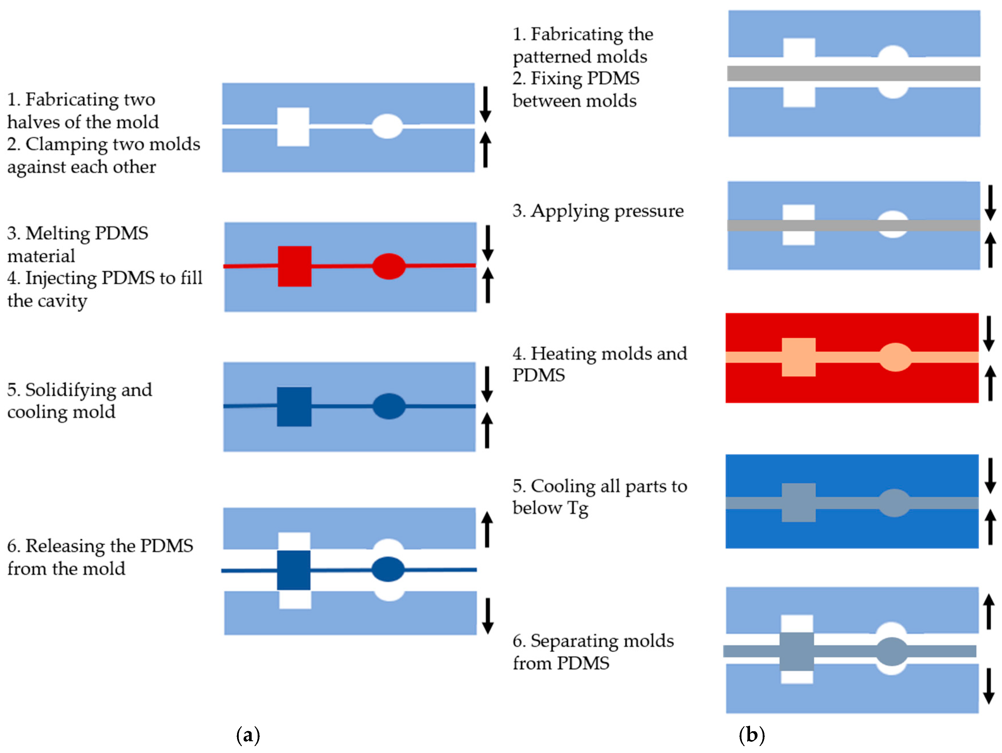Biosensors 15 00076 g002