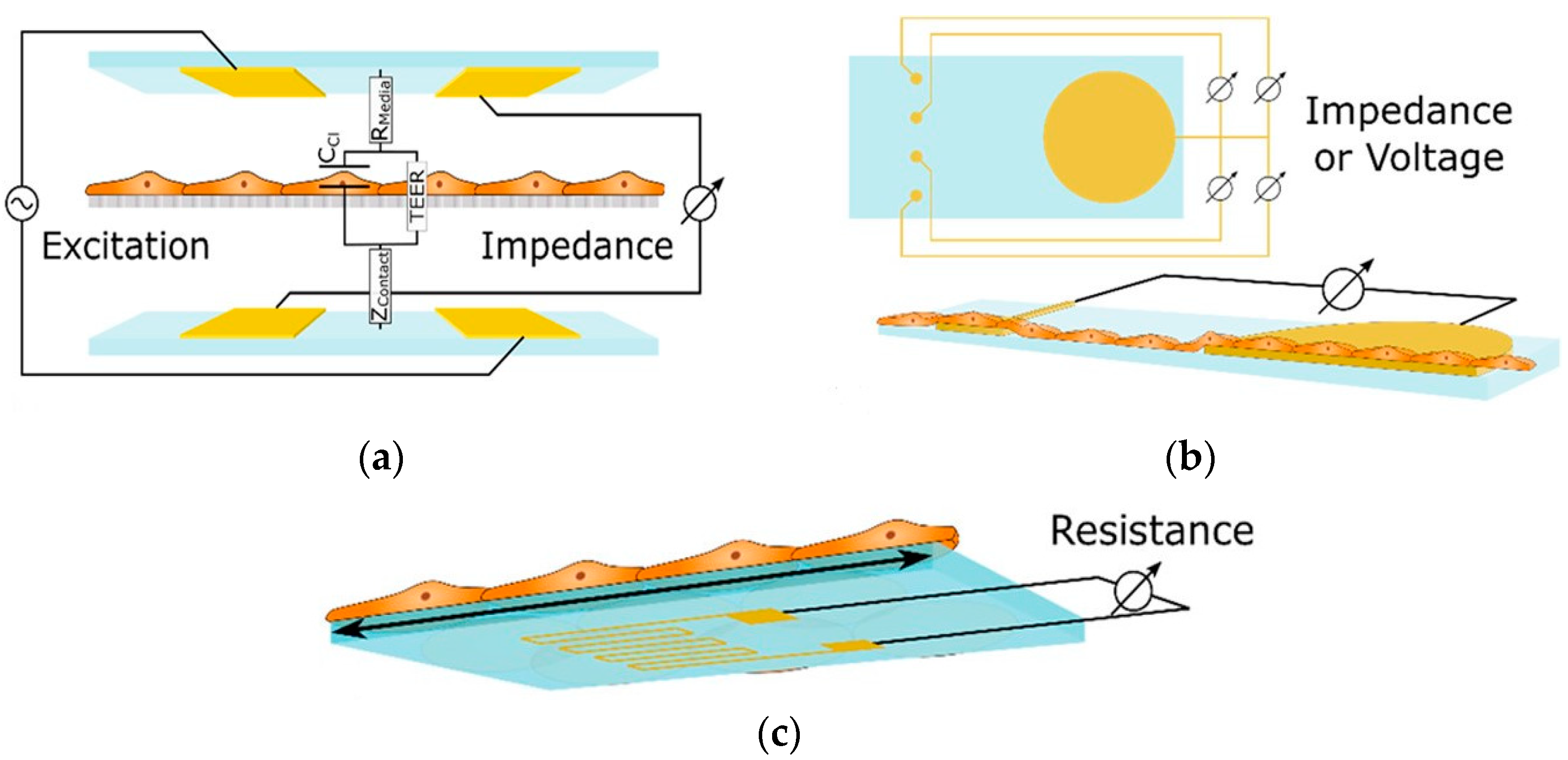 Biosensors 15 00076 g004