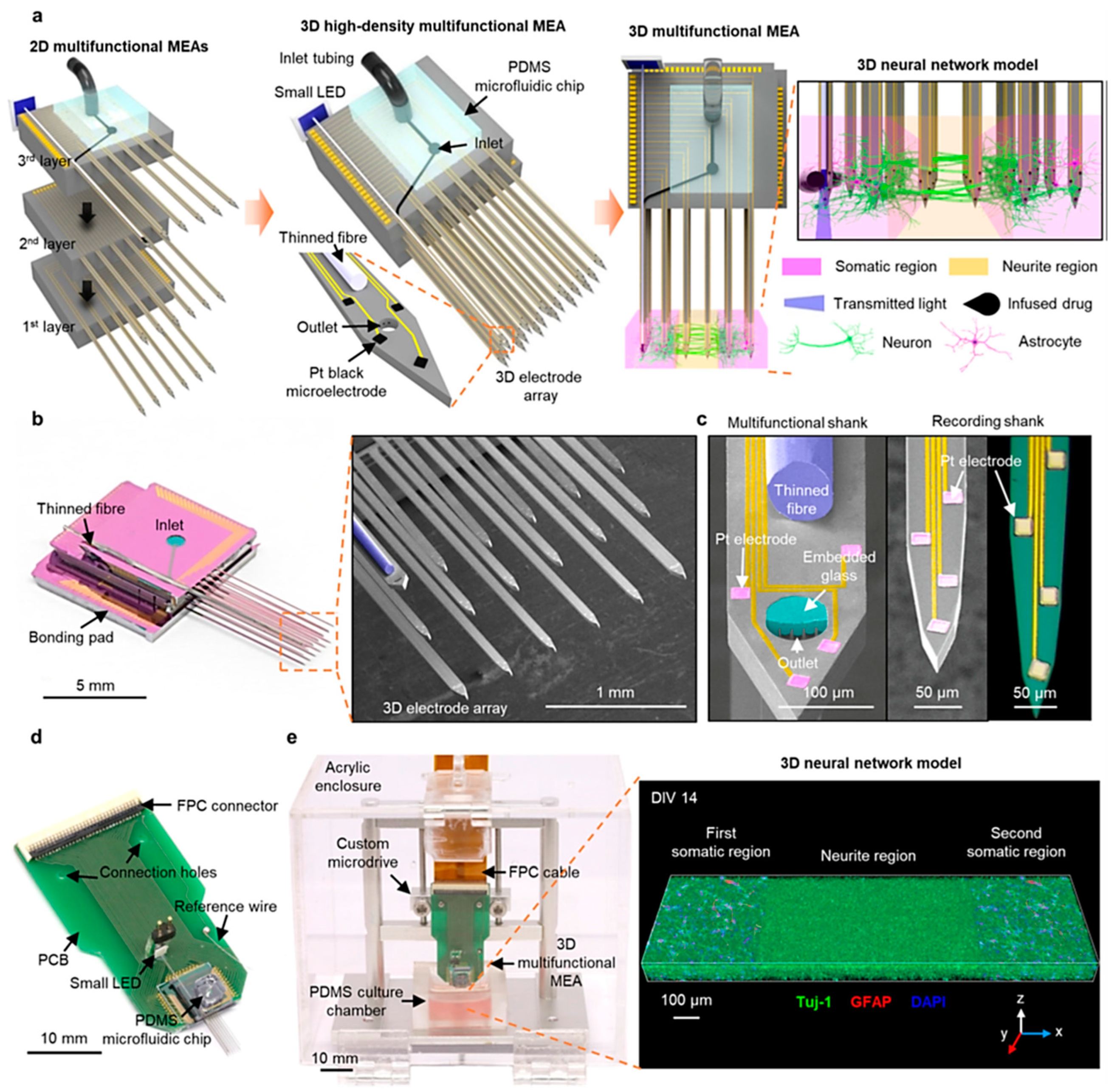Biosensors 15 00076 g005