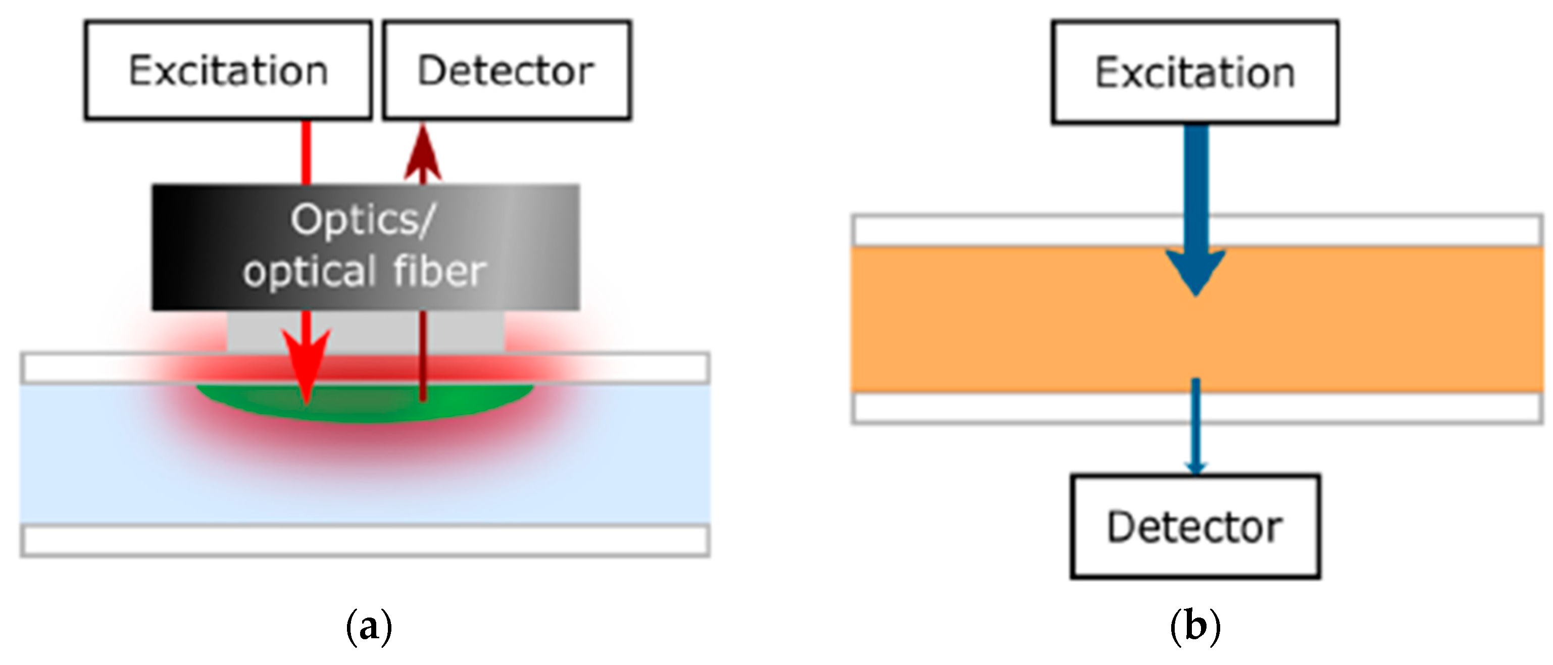 Biosensors 15 00076 g007