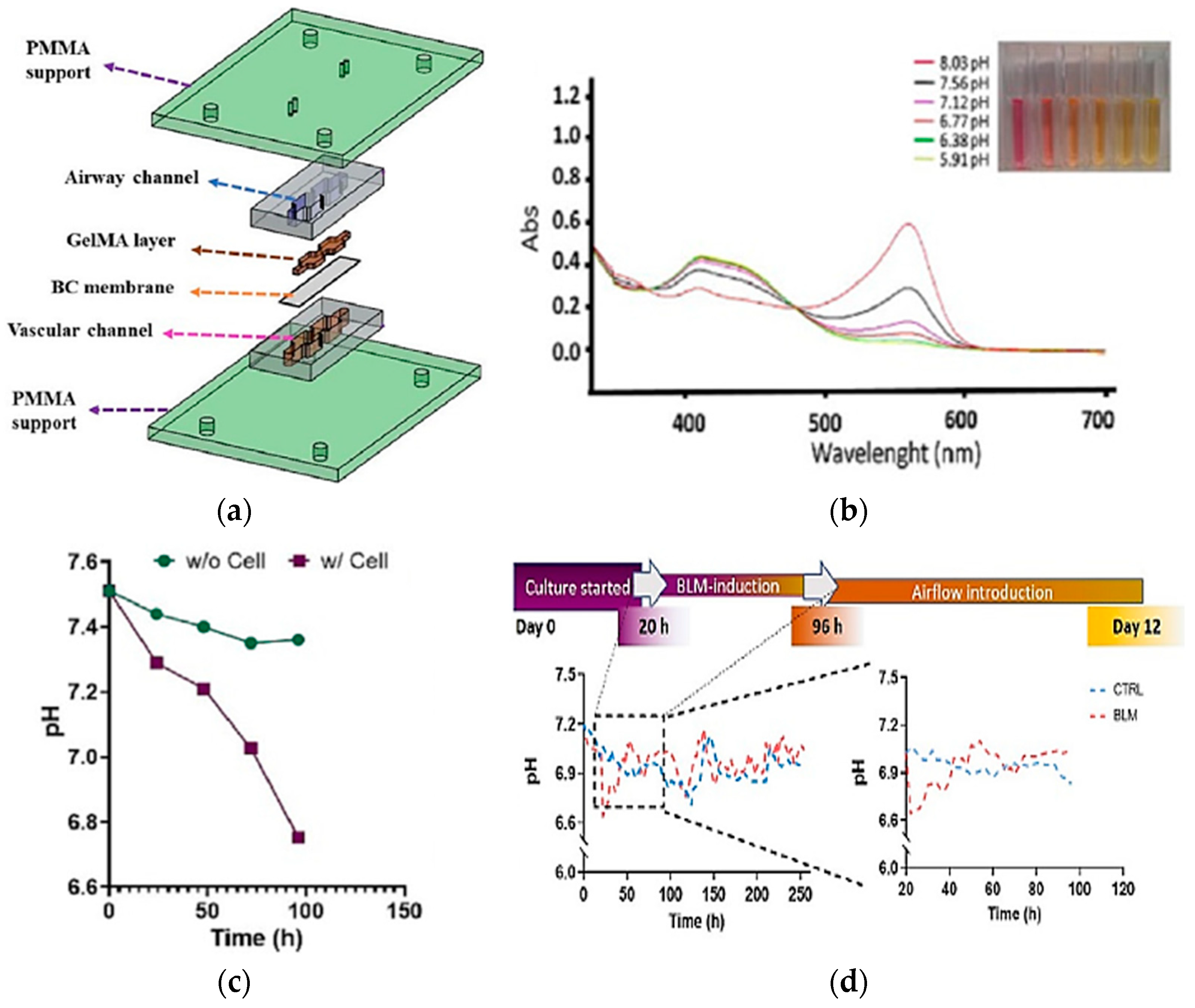 Biosensors 15 00076 g009