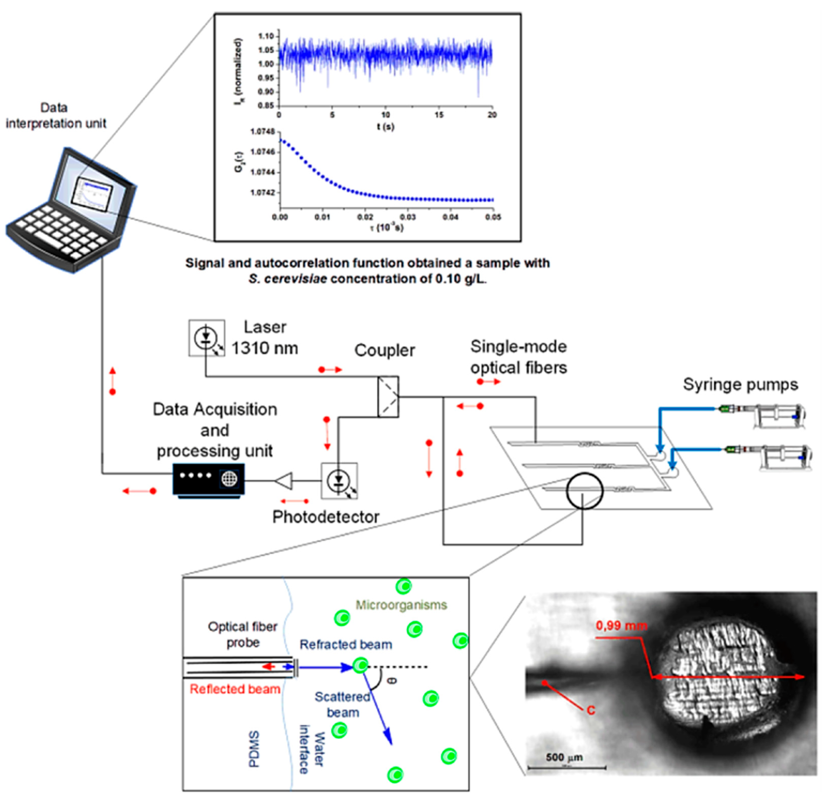 Biosensors 15 00076 g010