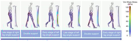 Biosensors 15 00083 g0a2