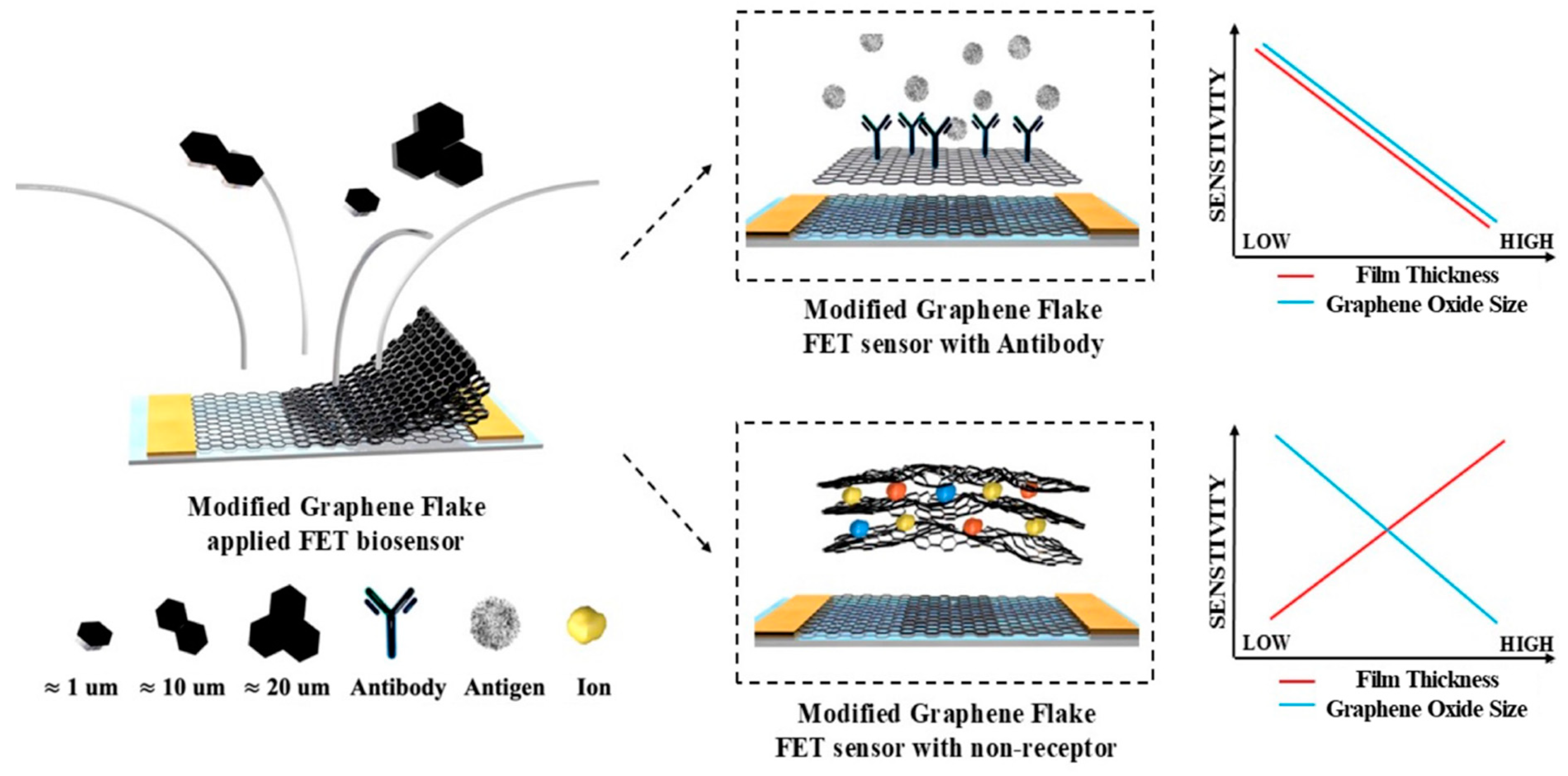Biosensors 15 00086 g001 Biosensors 15 00086 g001