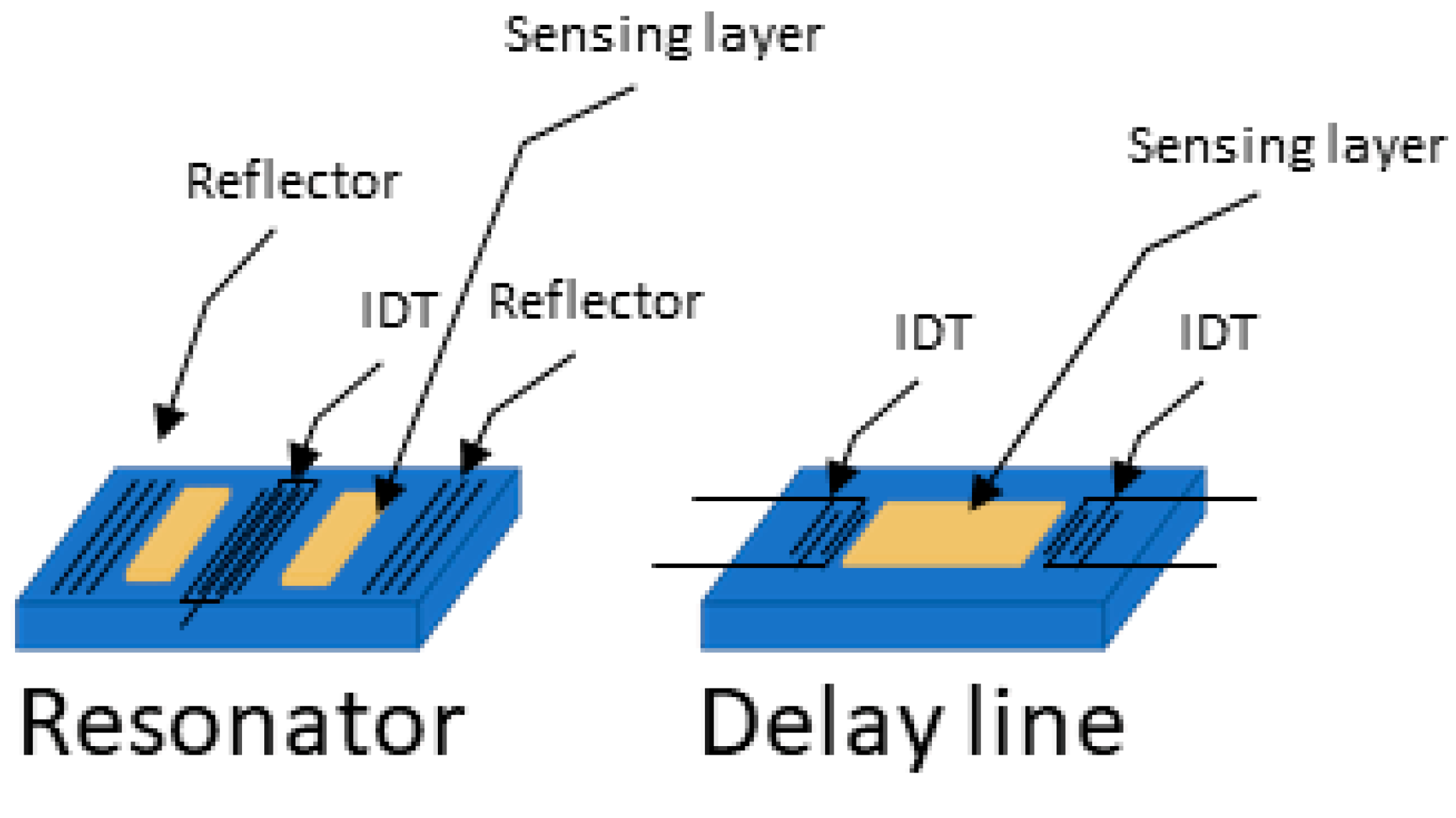 Biosensors 15 00088 g003