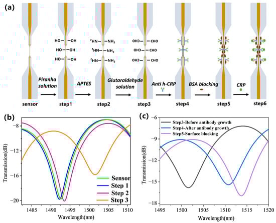 Biosensors 15 00090 g005