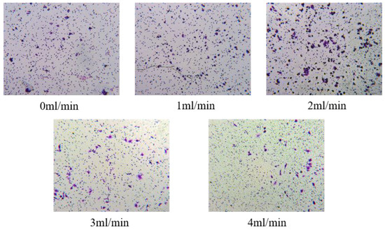 Biosensors 15 00091 g0a1