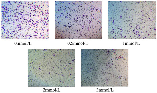 Biosensors 15 00091 g0a3