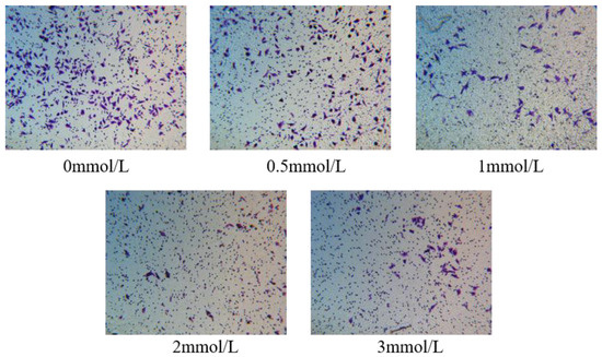 Biosensors 15 00091 g0a4