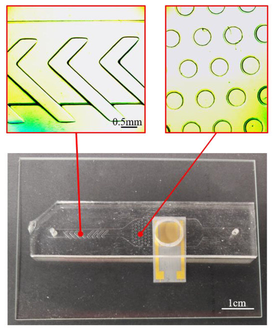 Biosensors 15 00091 g0a5