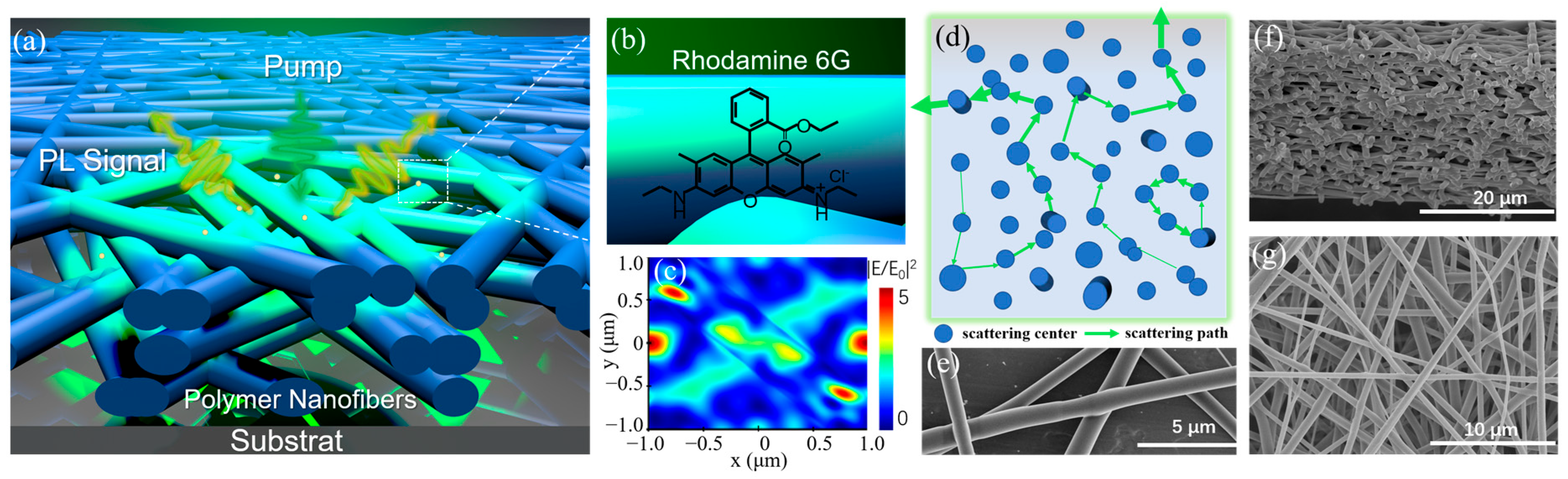 Biosensors 15 00097 g001