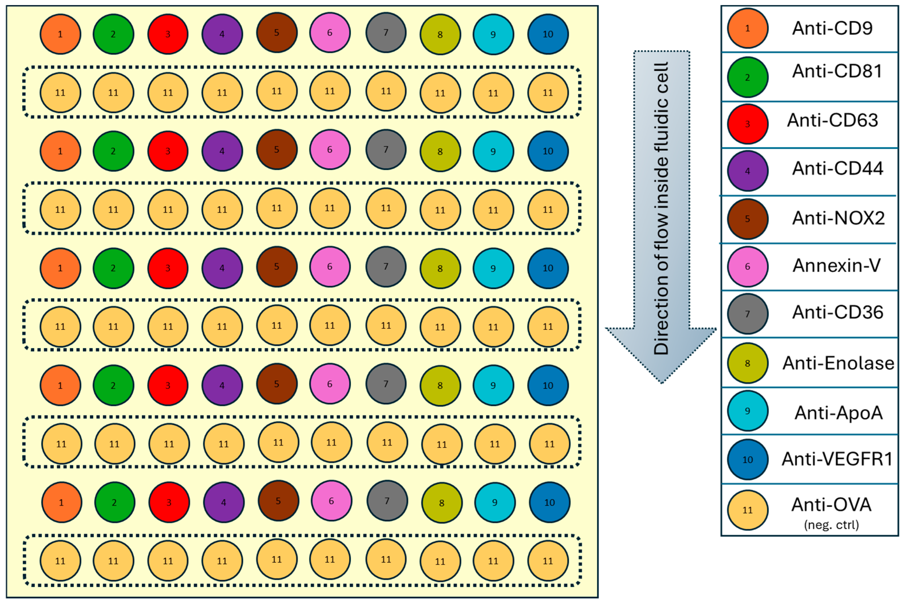 Biosensors 15 00103 g001
