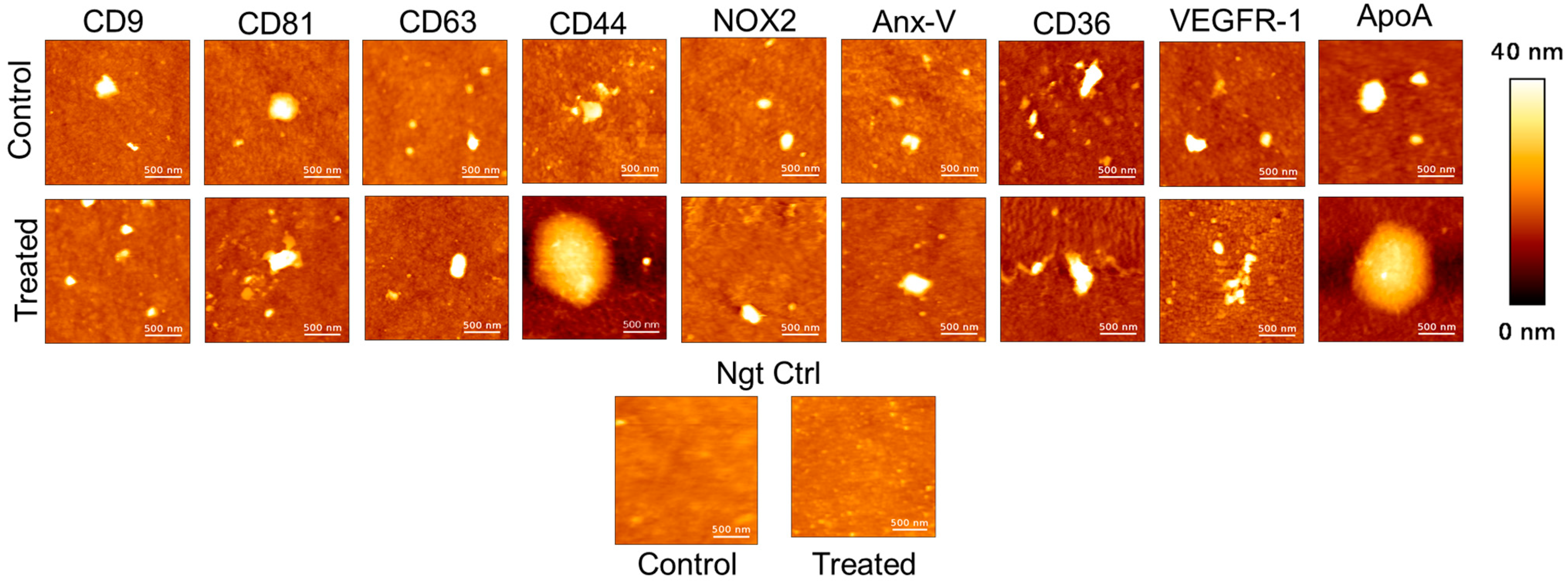 Biosensors 15 00103 g004