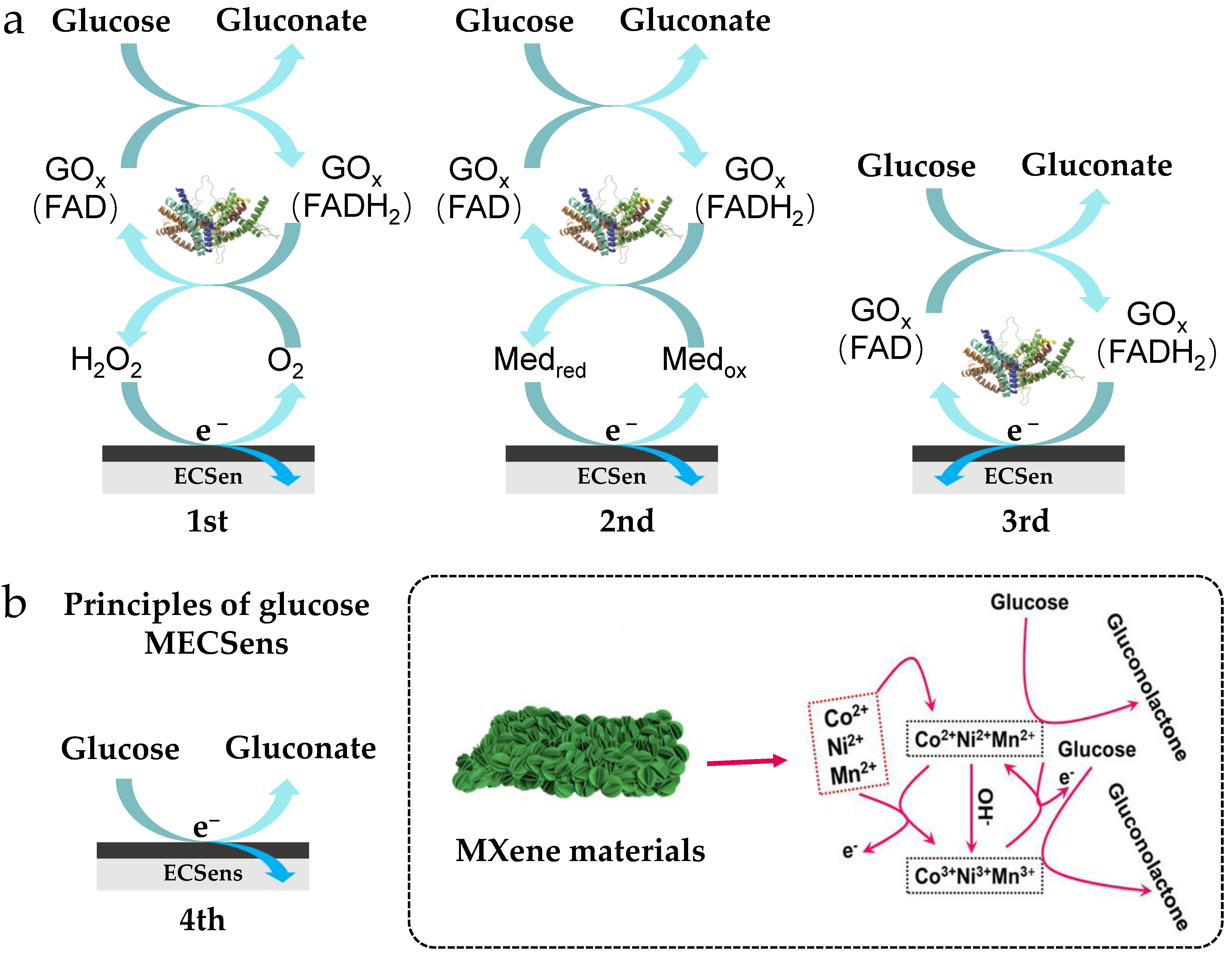 Biosensors 15 00107 g004