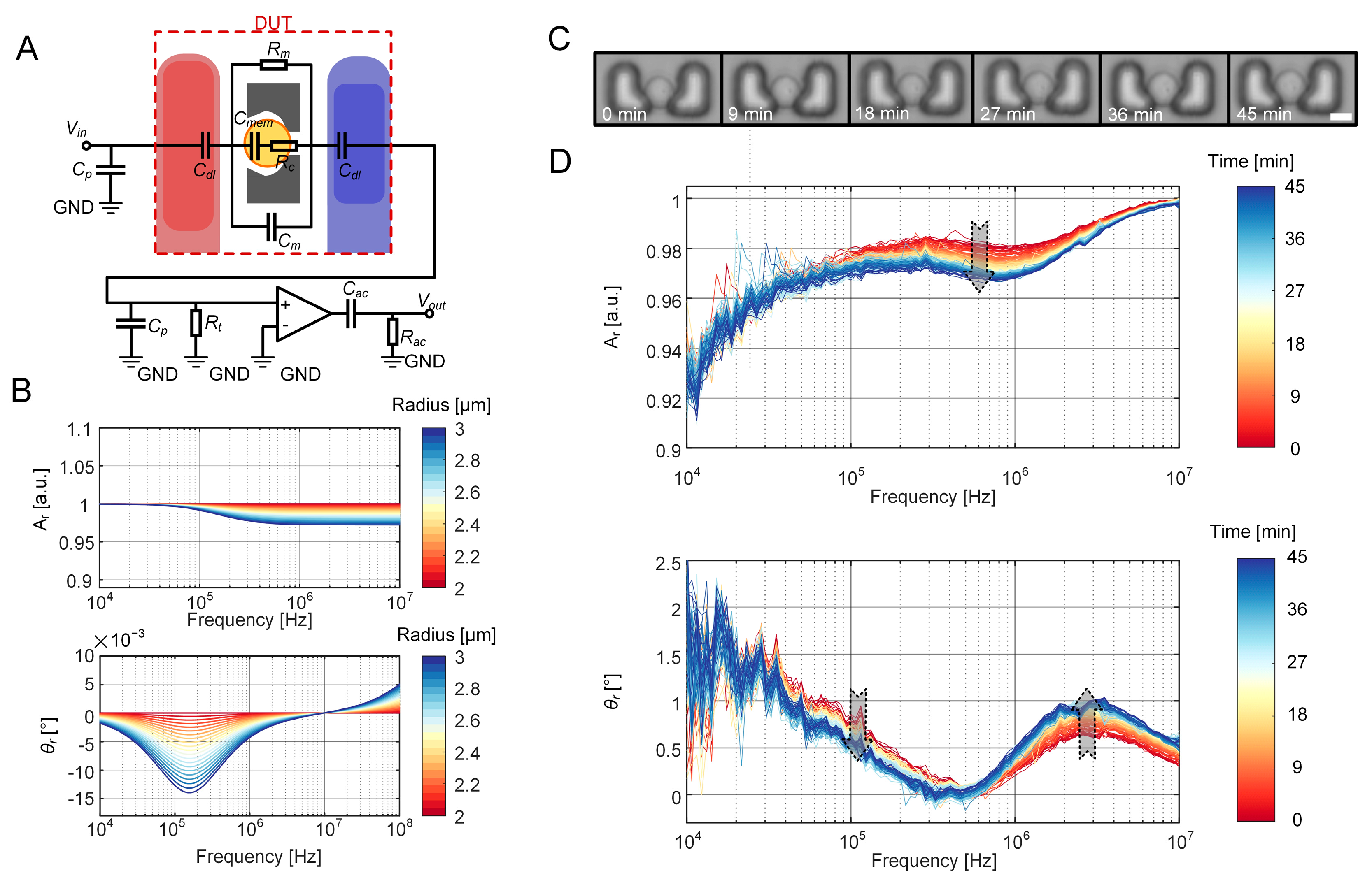 Biosensors 15 00113 g006