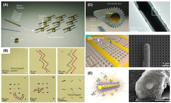 Biosensors 15 00115 g005