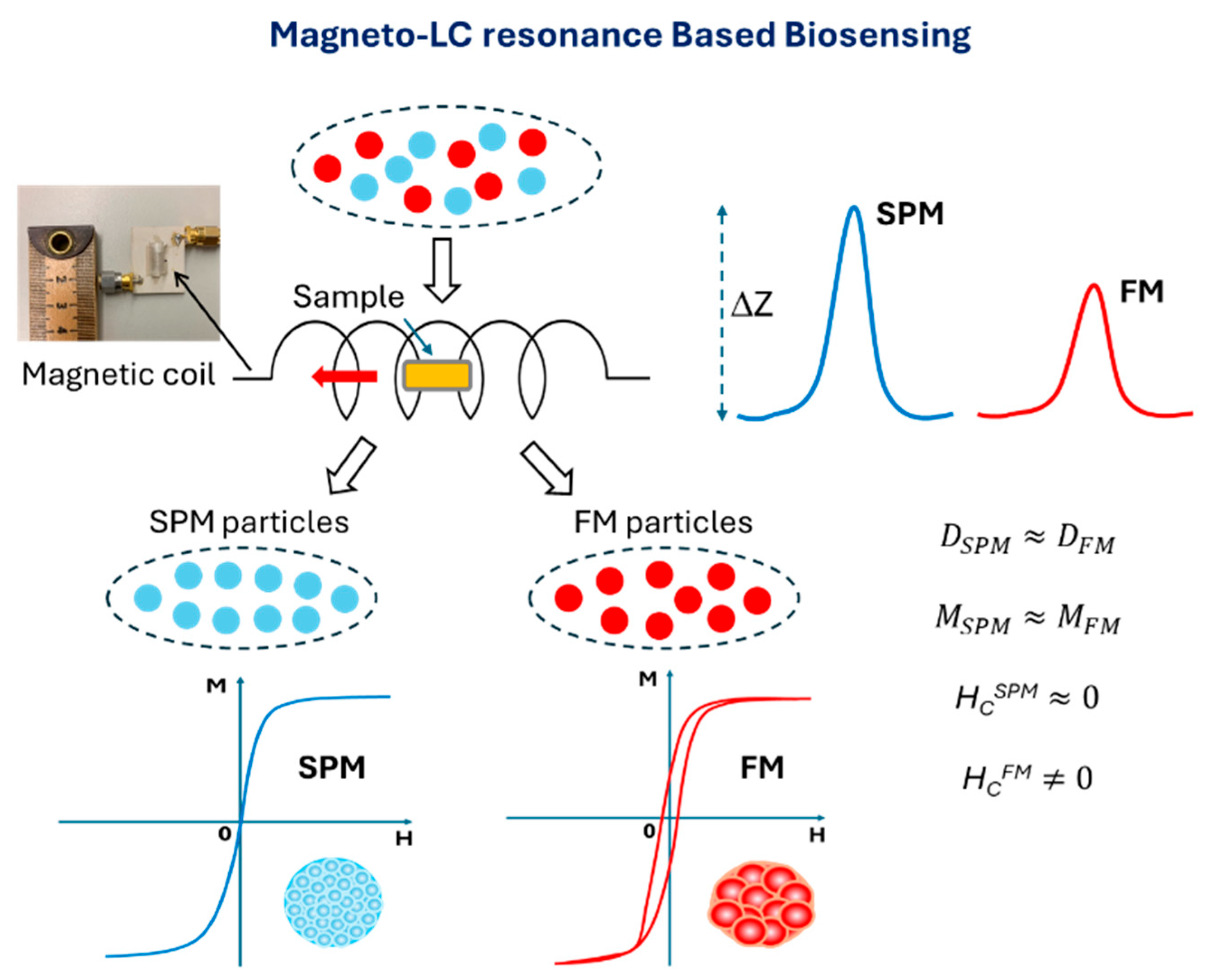 Biosensors 15 00116 g001