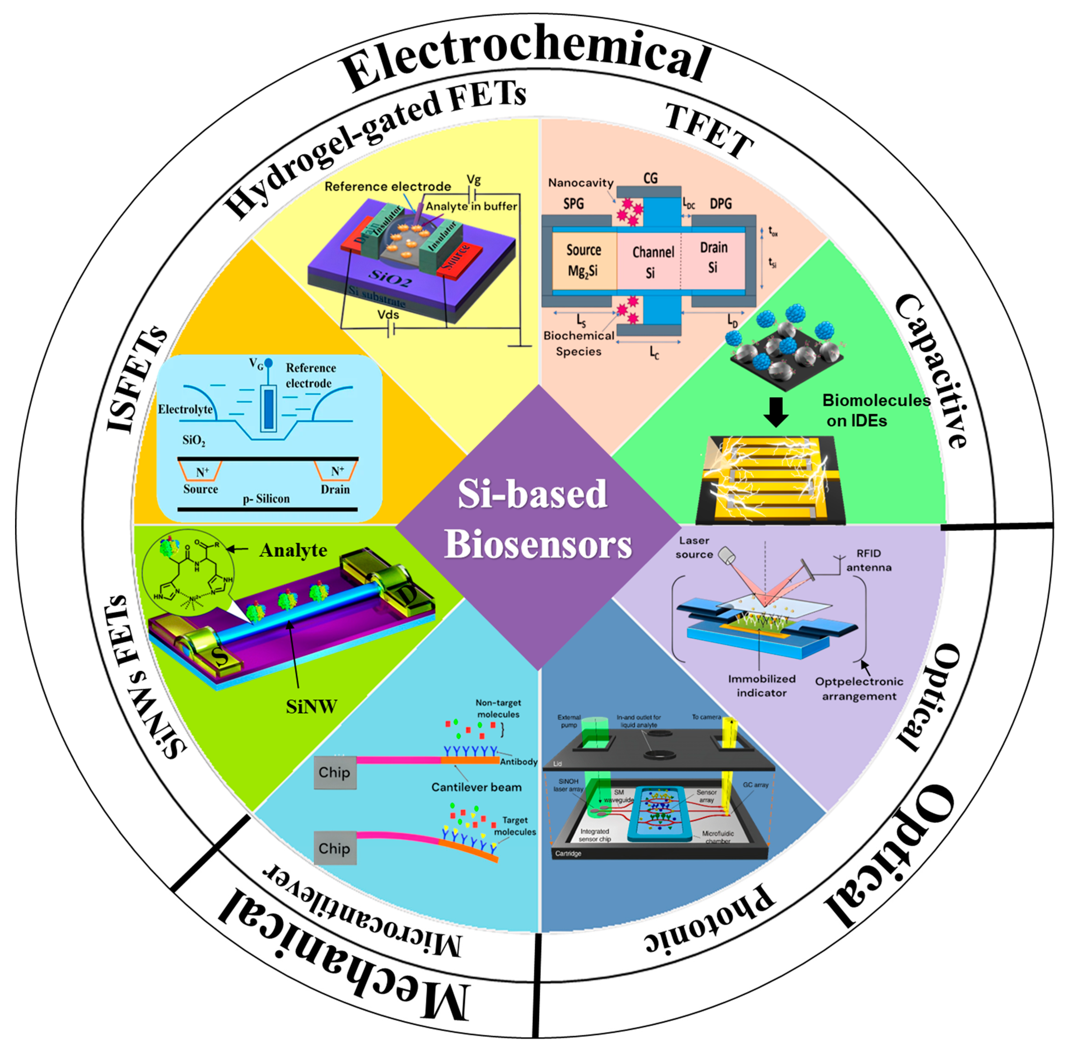 Biosensors 15 00119 g001