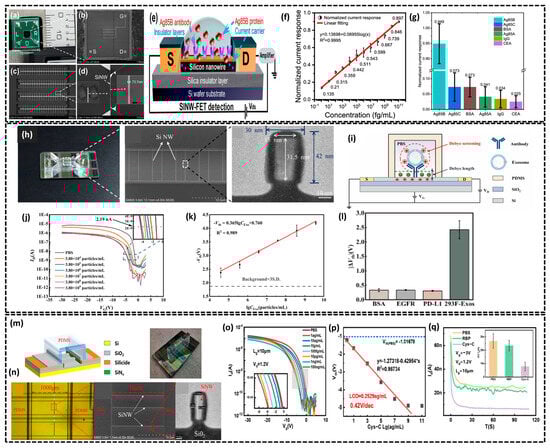 Biosensors 15 00119 g002