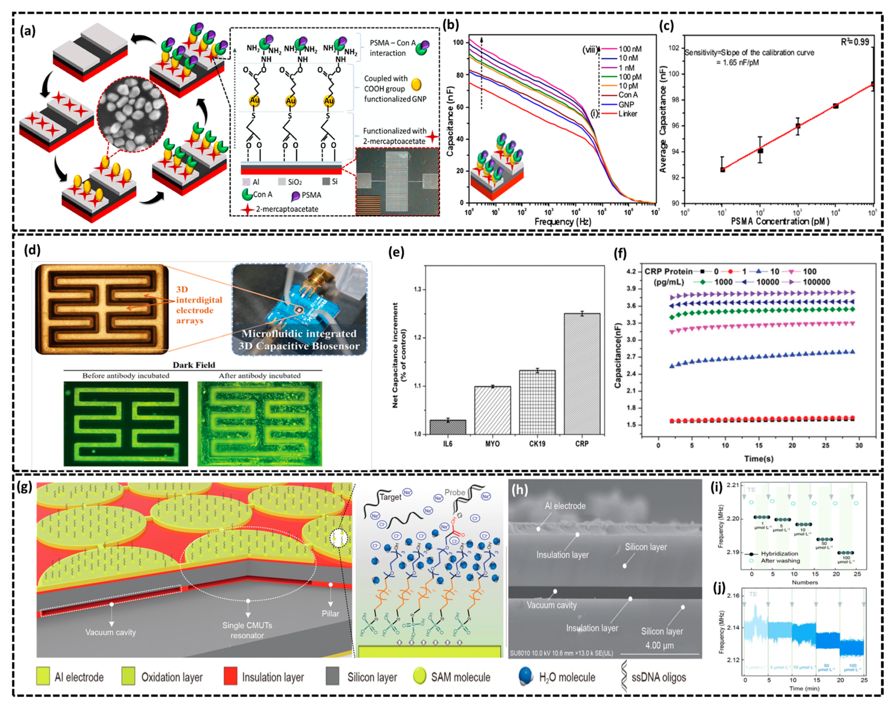 Biosensors 15 00119 g006