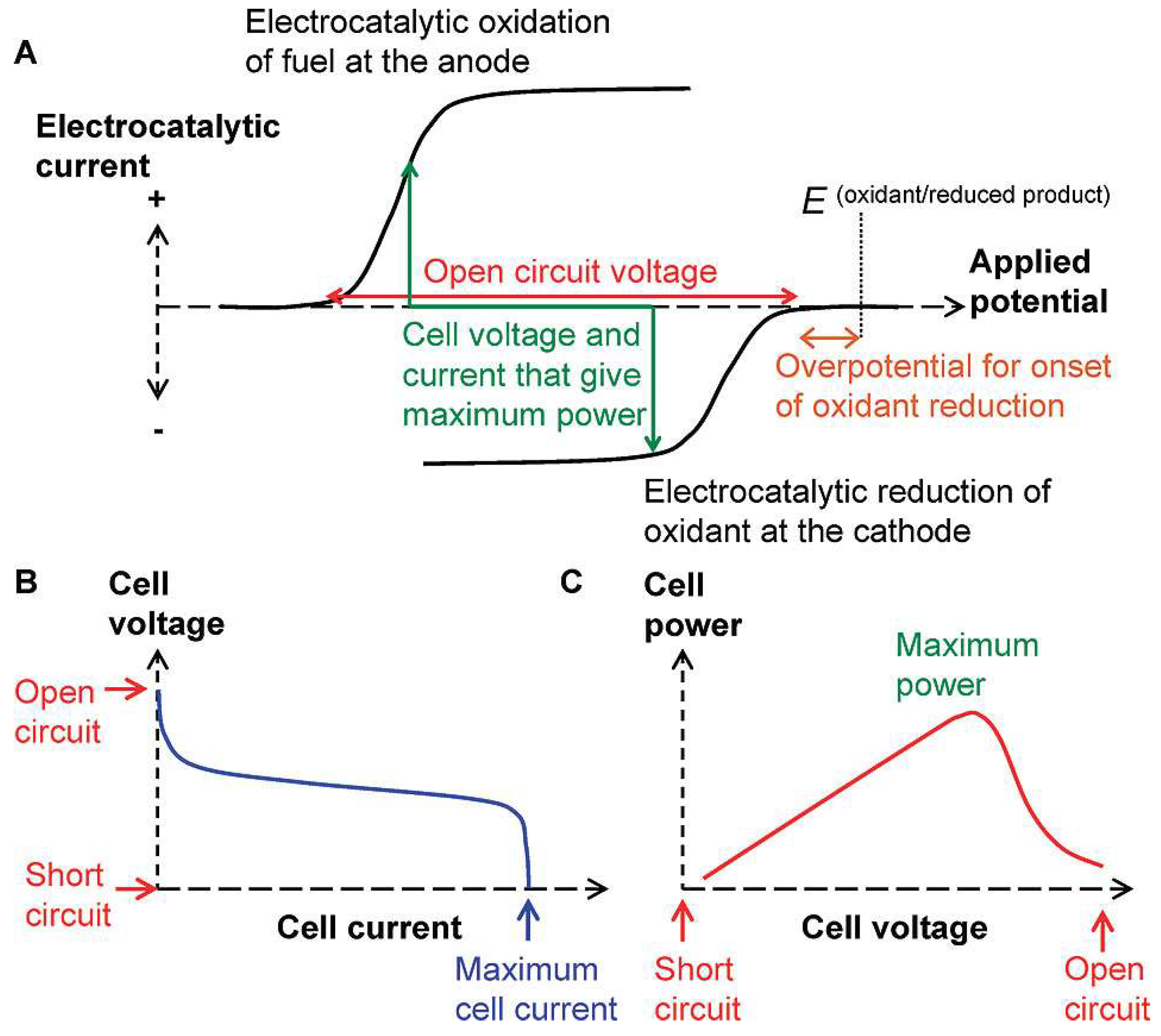 Biosensors 15 00124 g001