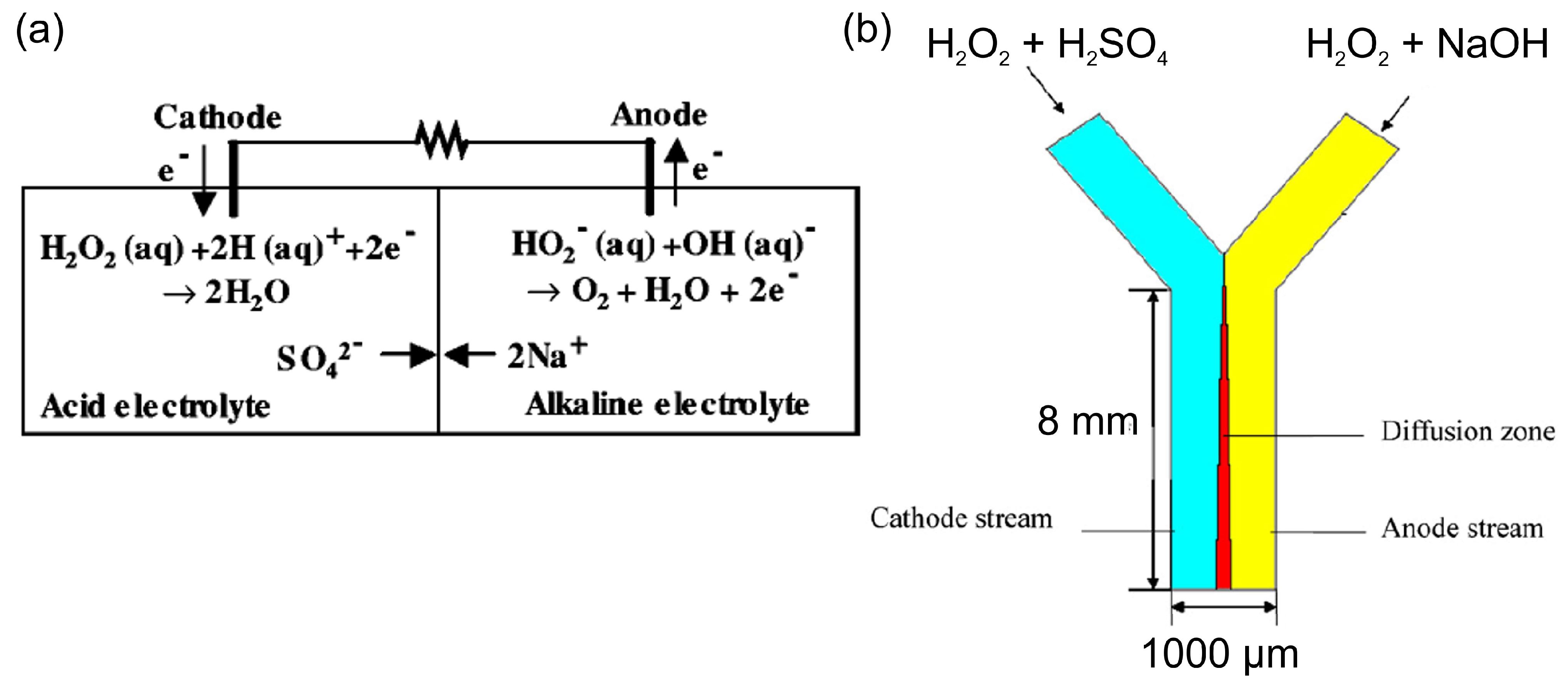 Biosensors 15 00124 g003