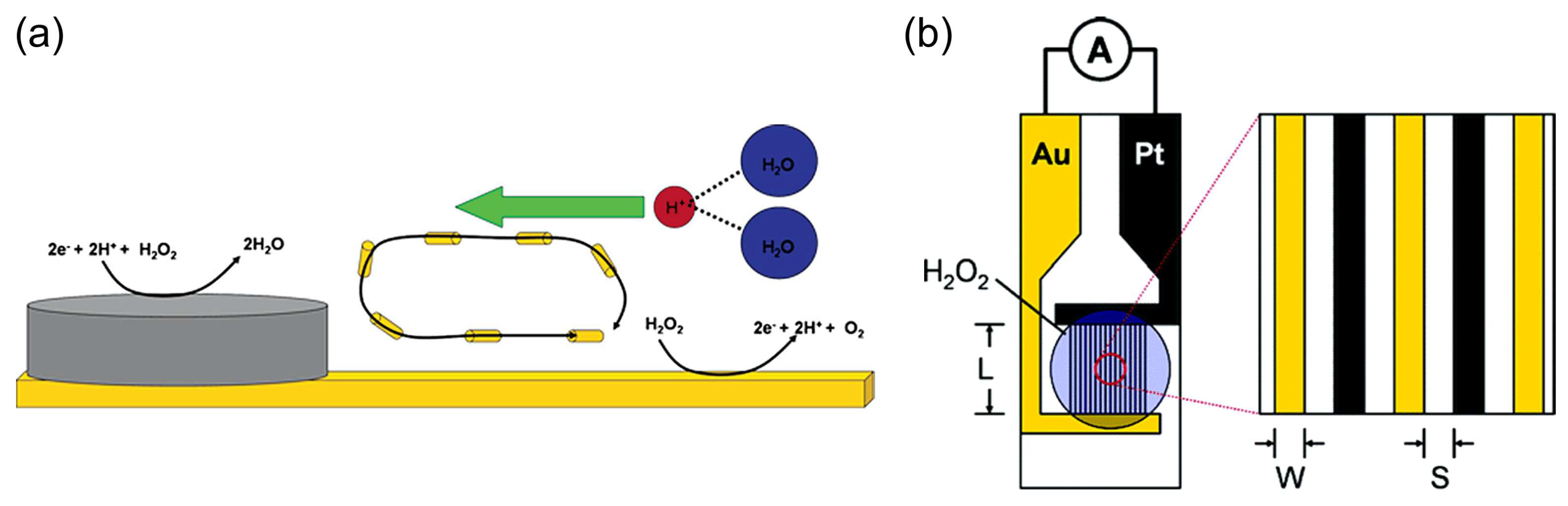 Biosensors 15 00124 g004