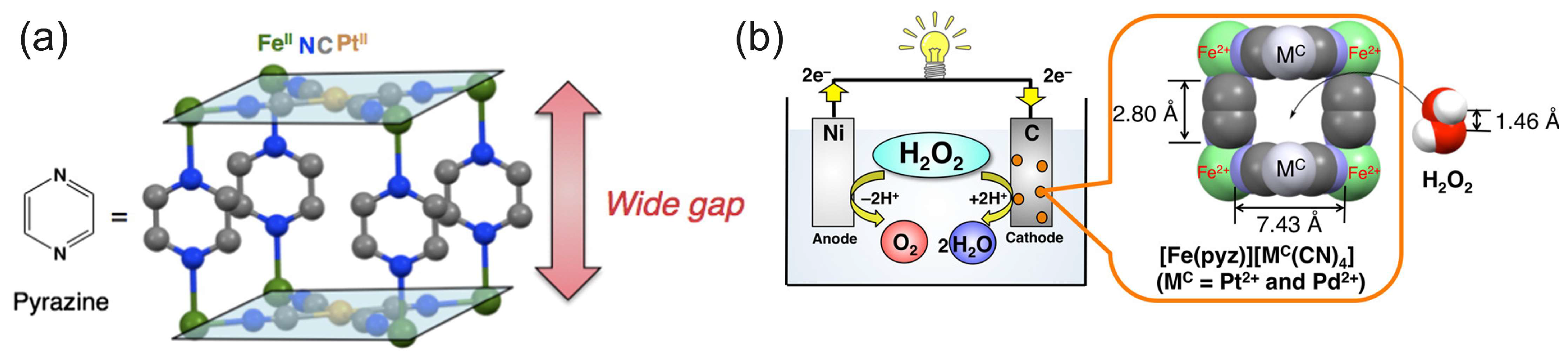 Biosensors 15 00124 g005