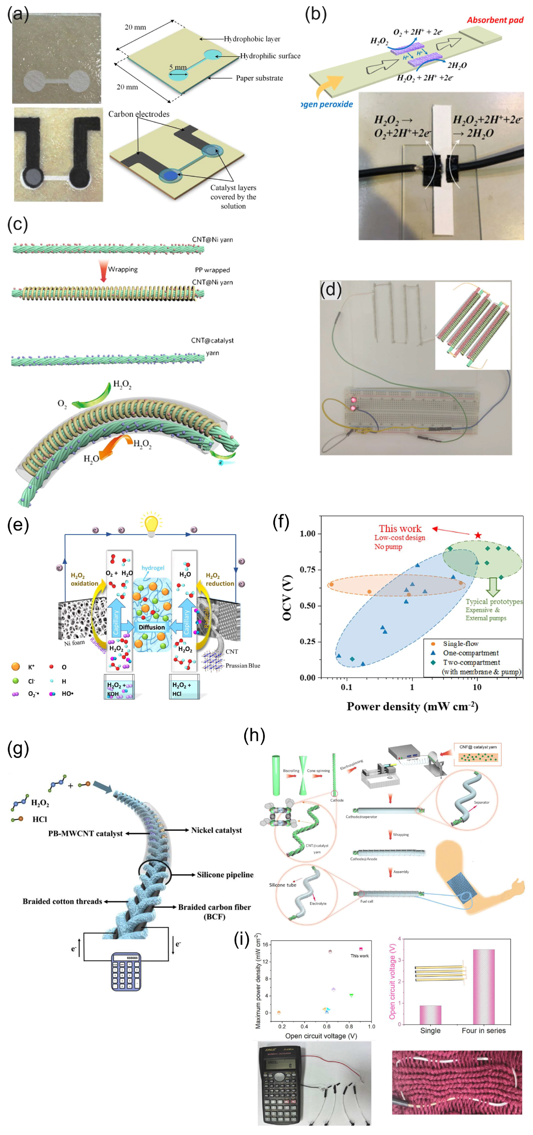 Biosensors 15 00124 g006
