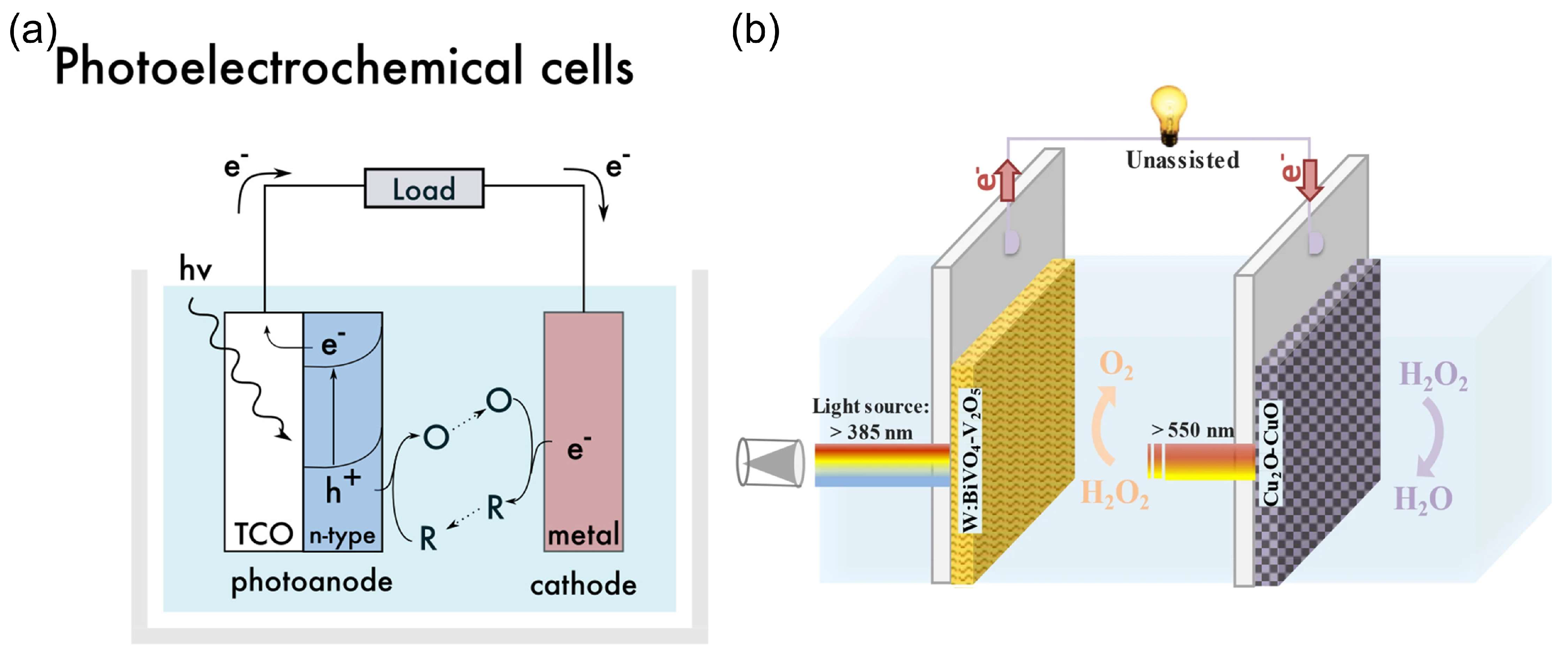 Biosensors 15 00124 g007