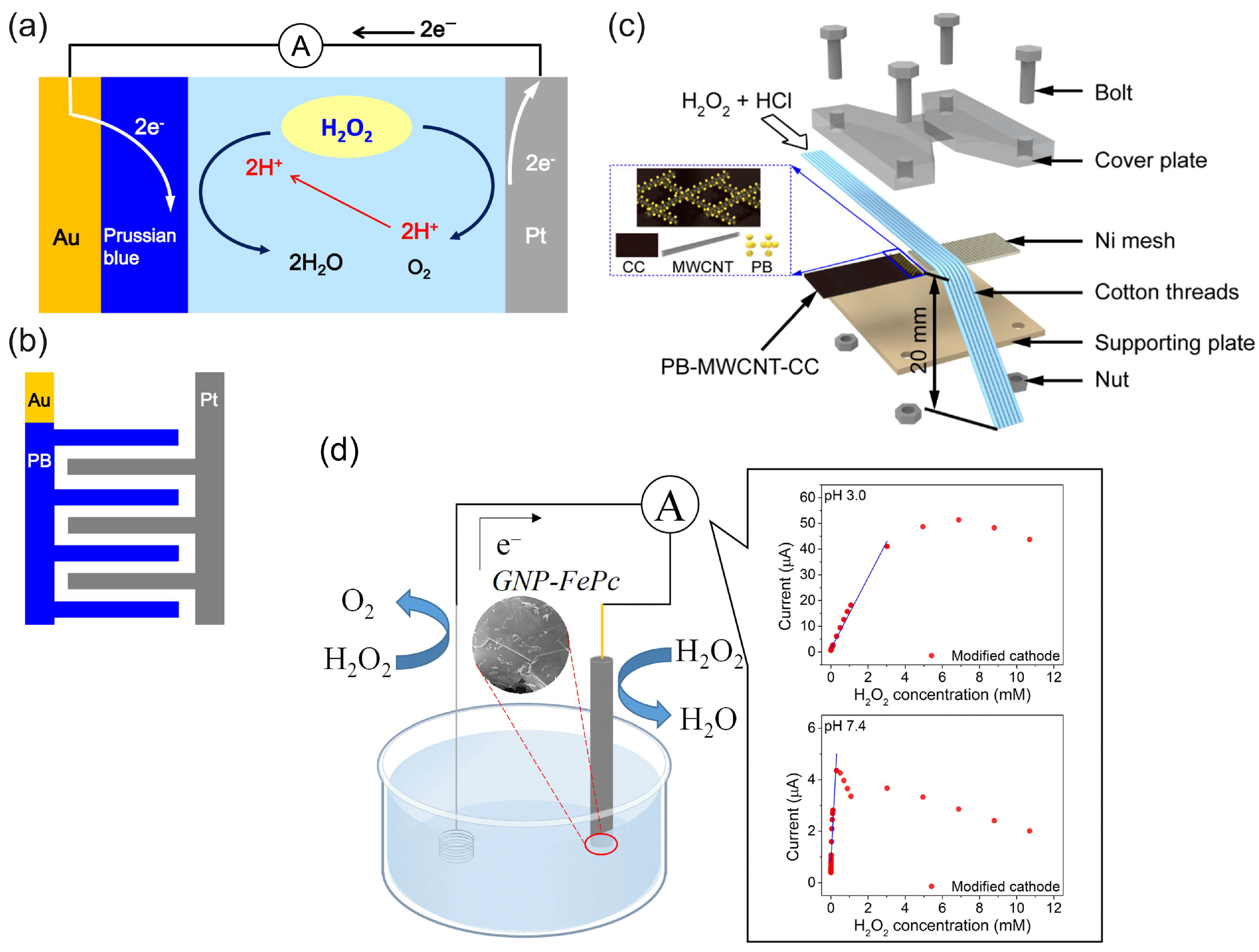 Biosensors 15 00124 g010