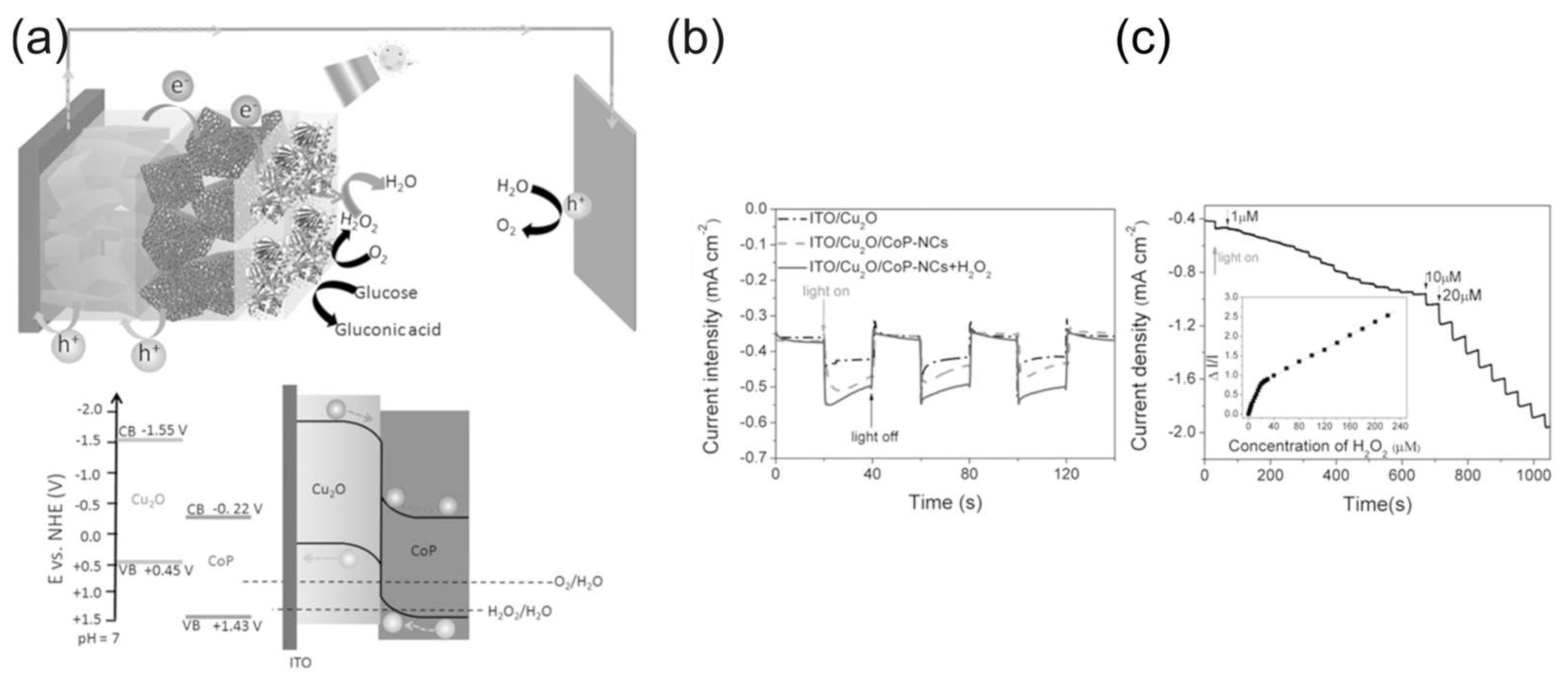 Biosensors 15 00124 g011