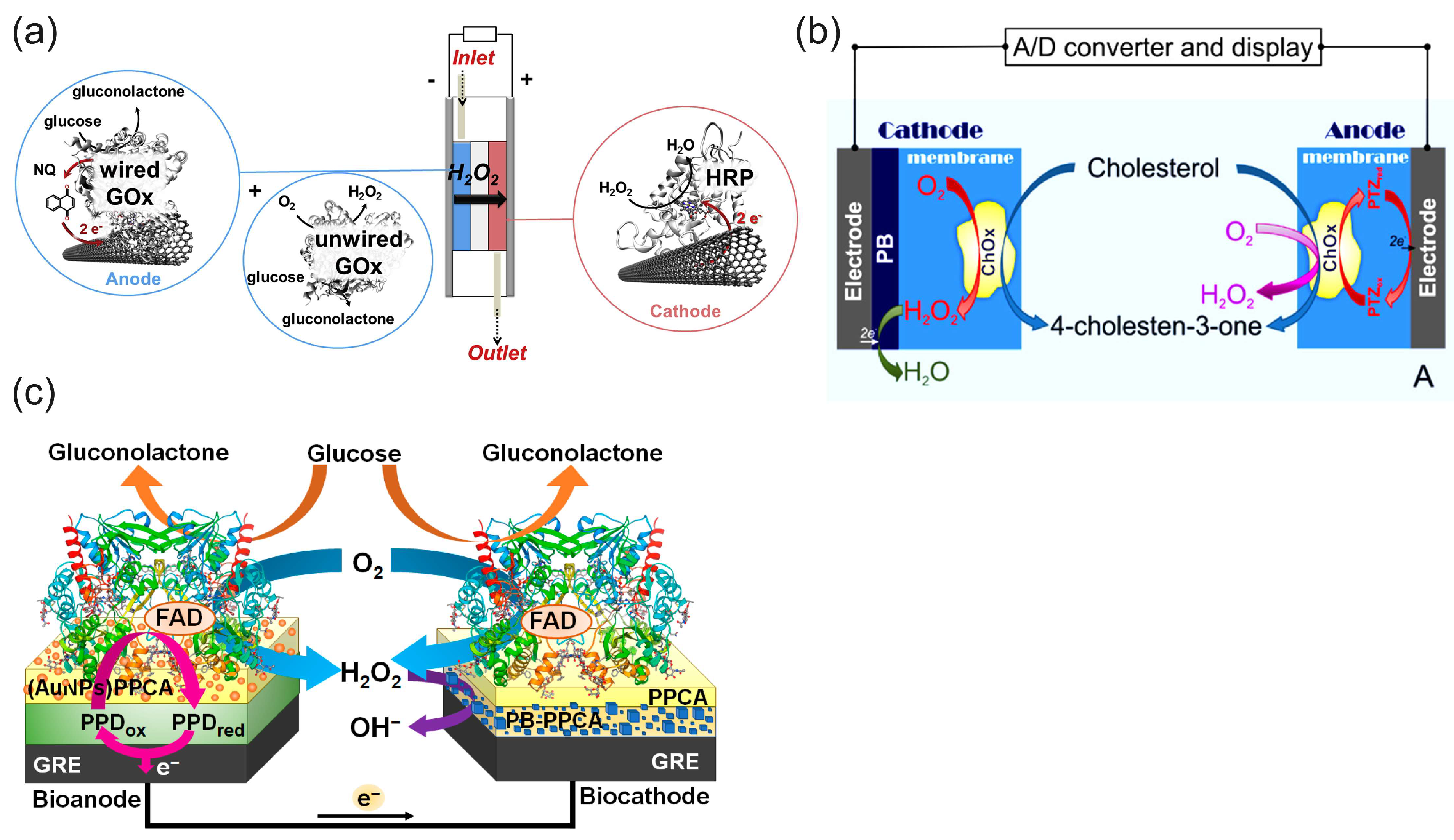 Biosensors 15 00124 g012