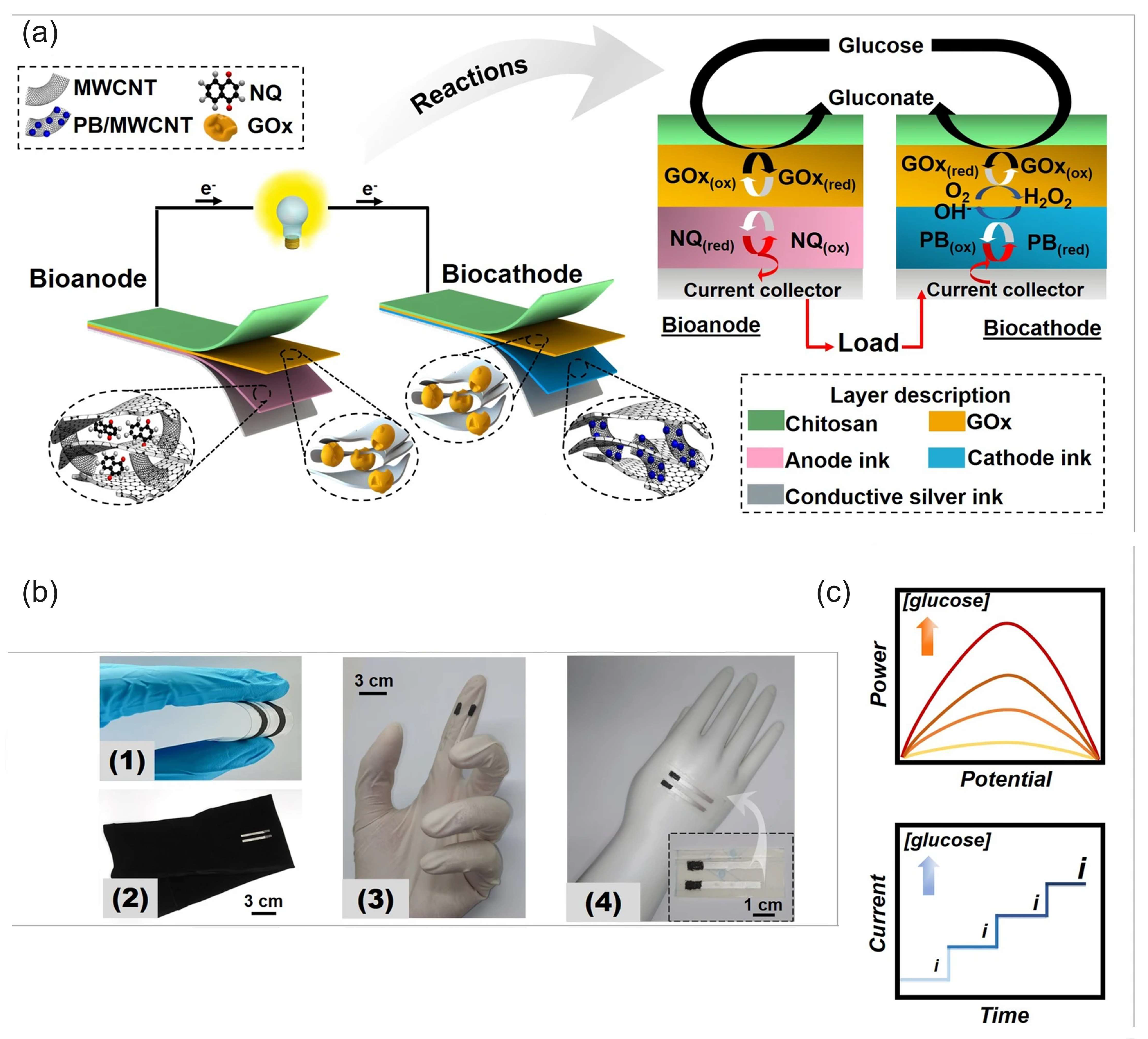 Biosensors 15 00124 g014