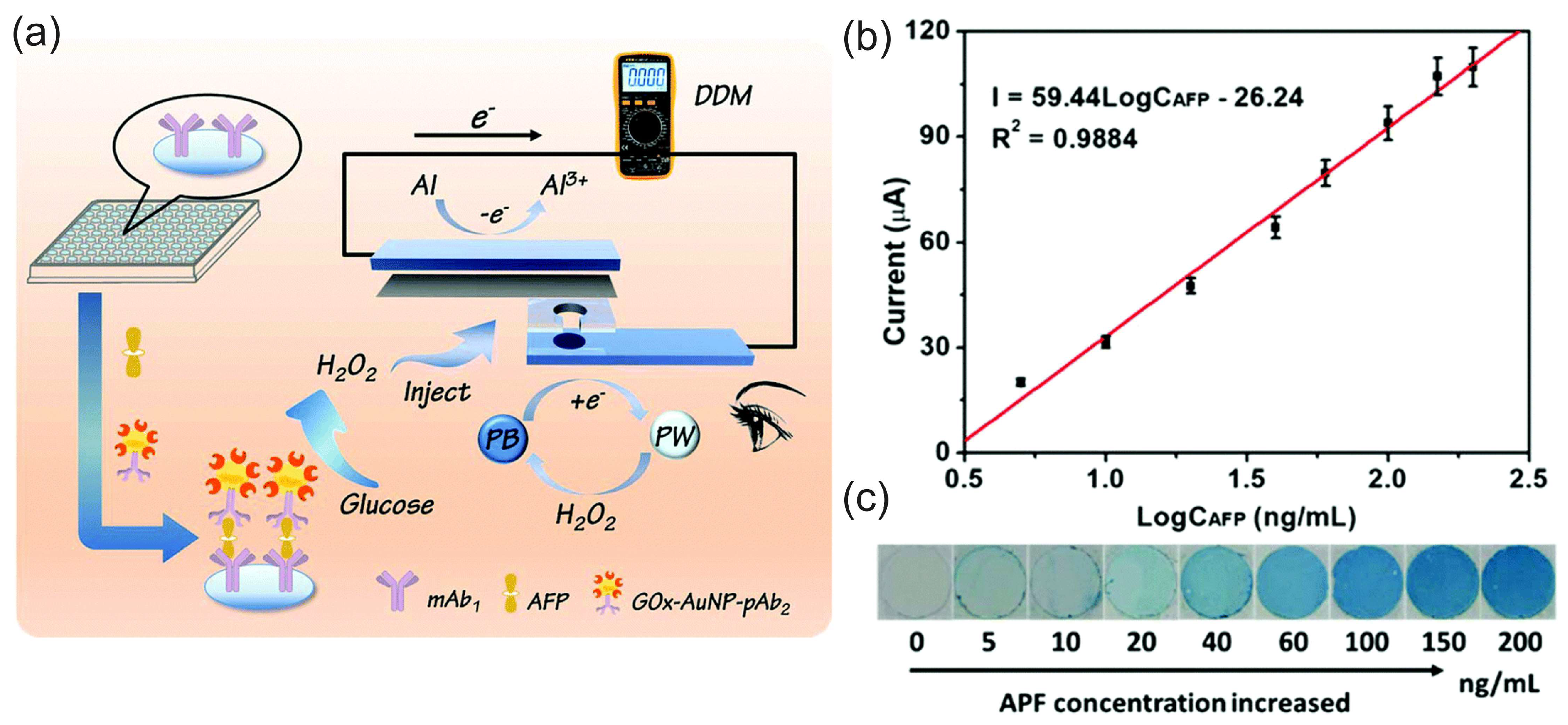Biosensors 15 00124 g015