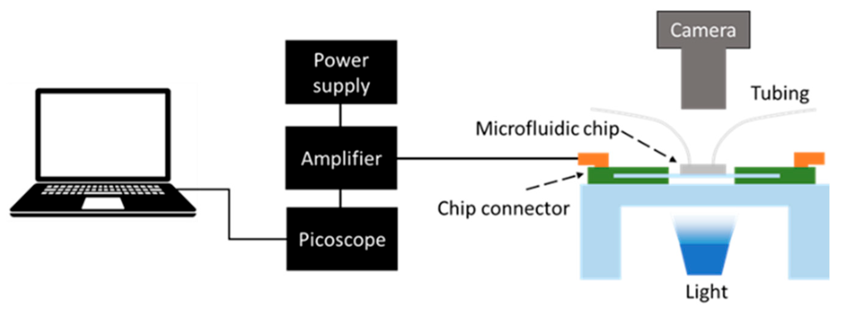 Biosensors 15 00131 g002